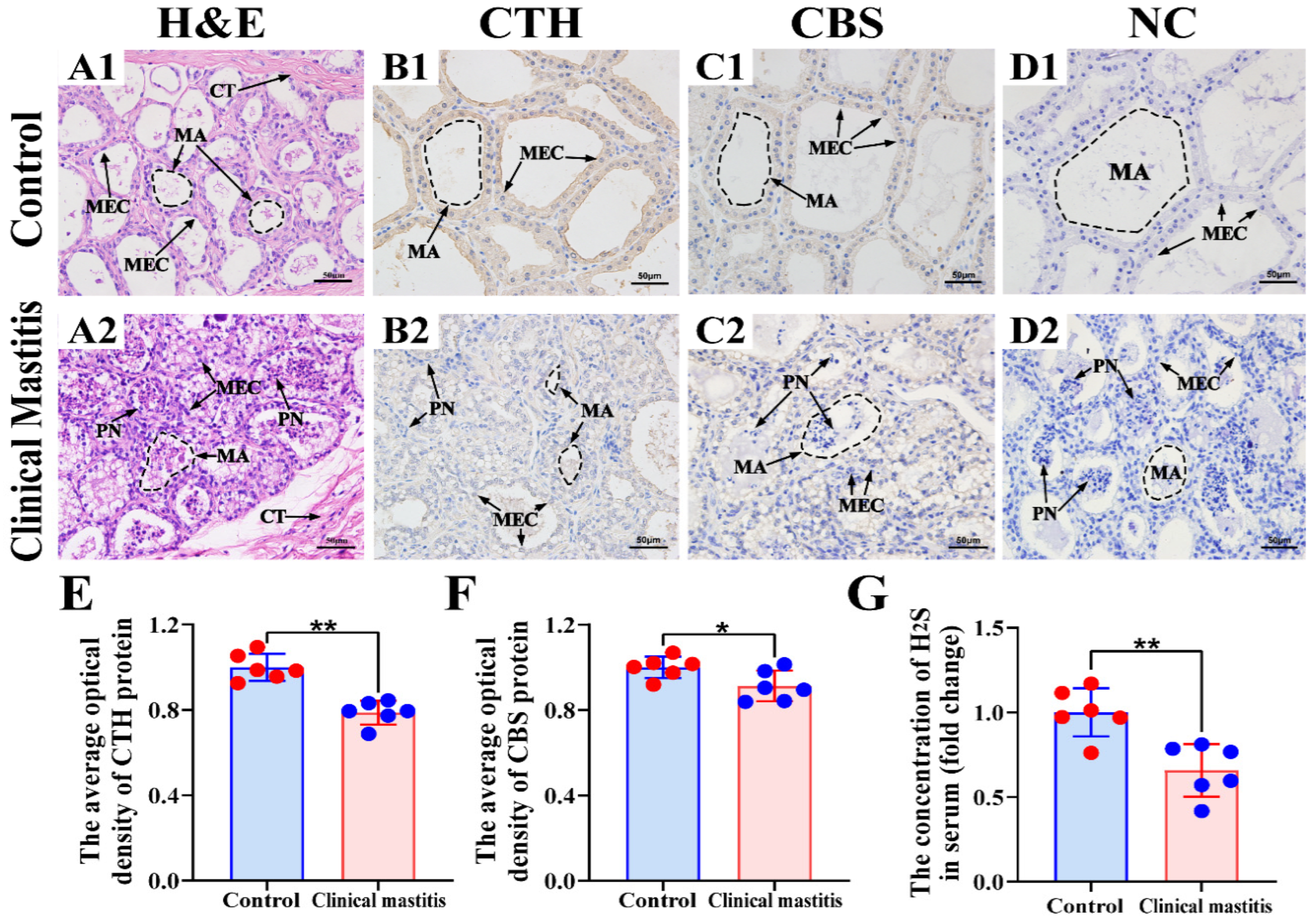 Animals 12 01451 g003 Animals 12 01451 g003