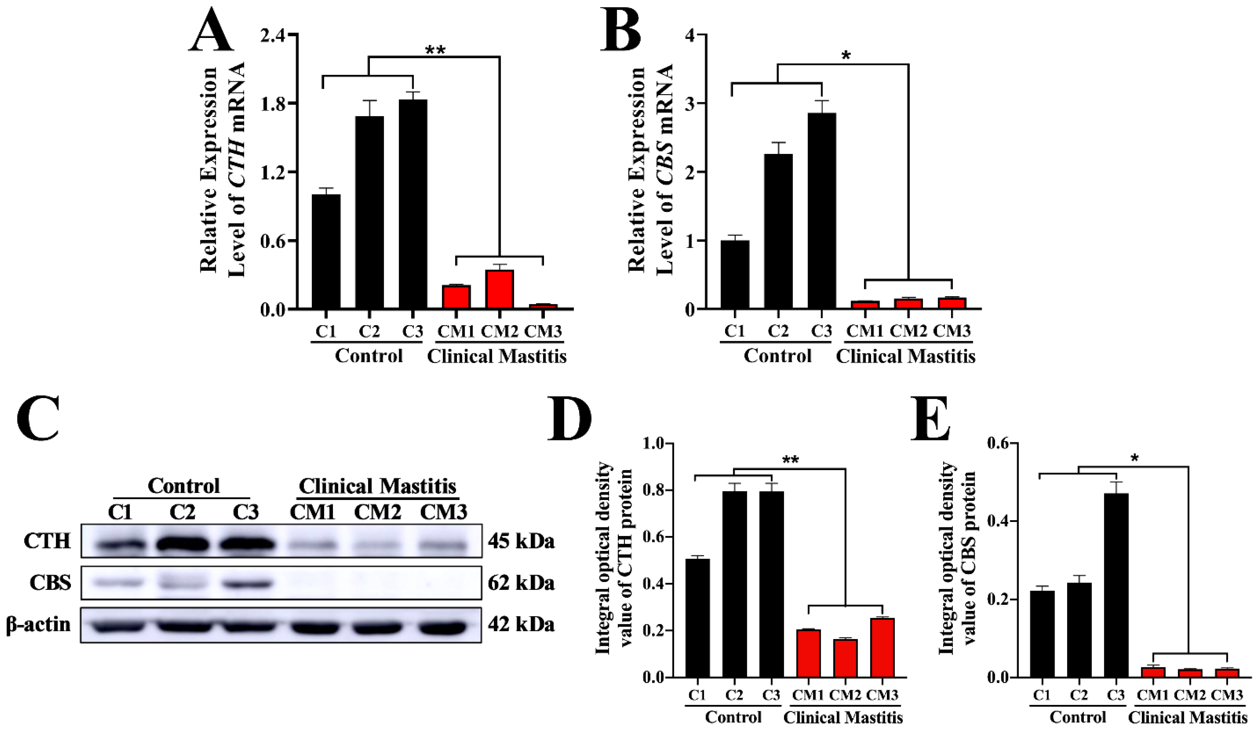 Animals 12 01451 g005 Animals 12 01451 g005