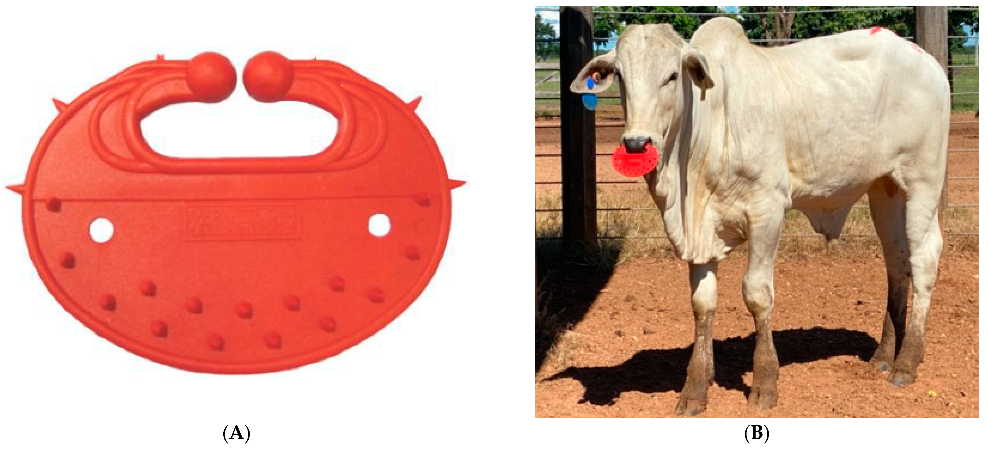 Animals 12 01452 g001 550