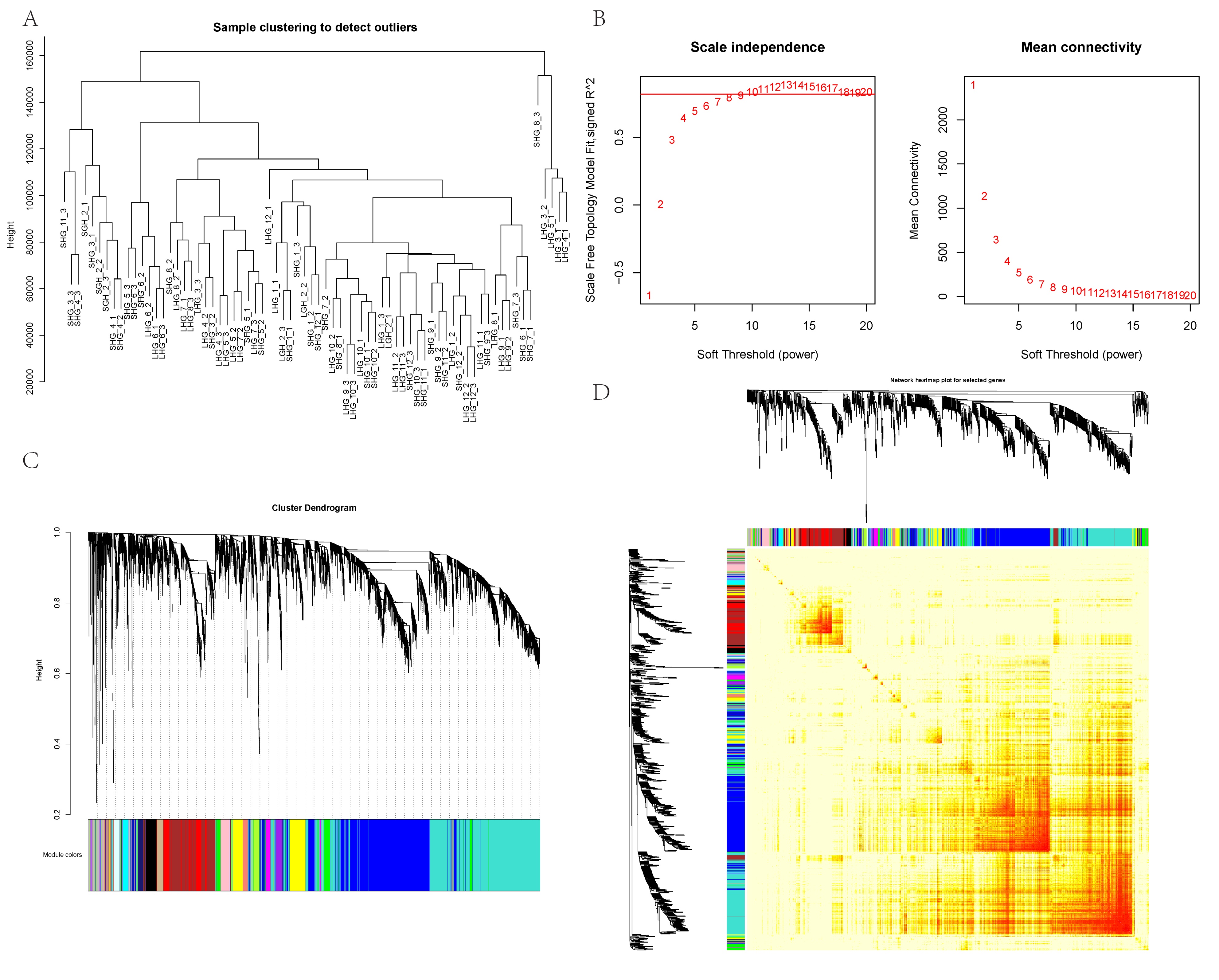 Animals 12 01456 g002 550