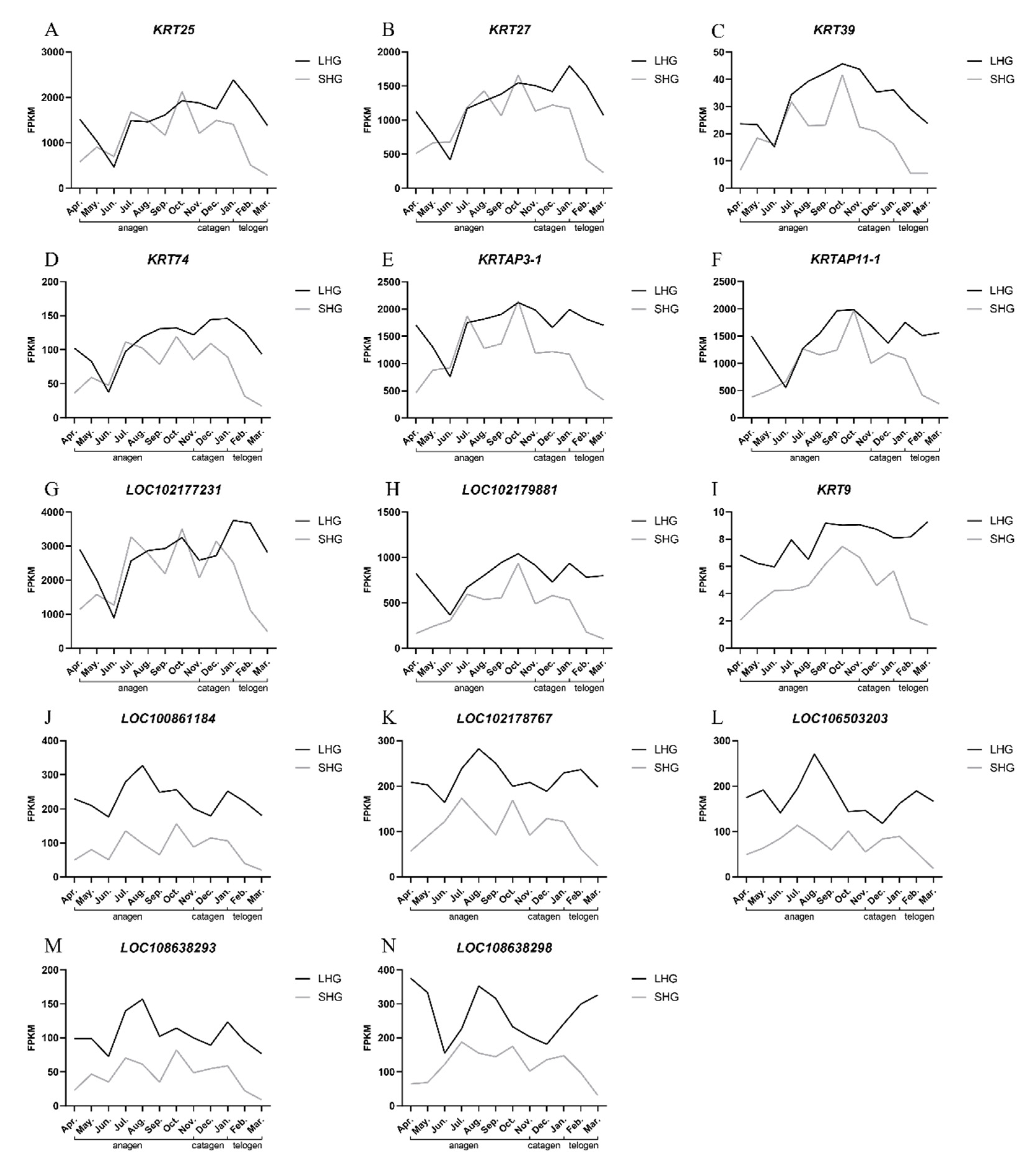 Animals 12 01456 g006 550