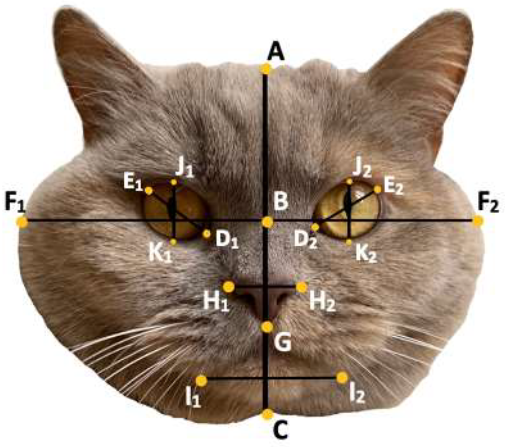 Animals 12 01461 g003