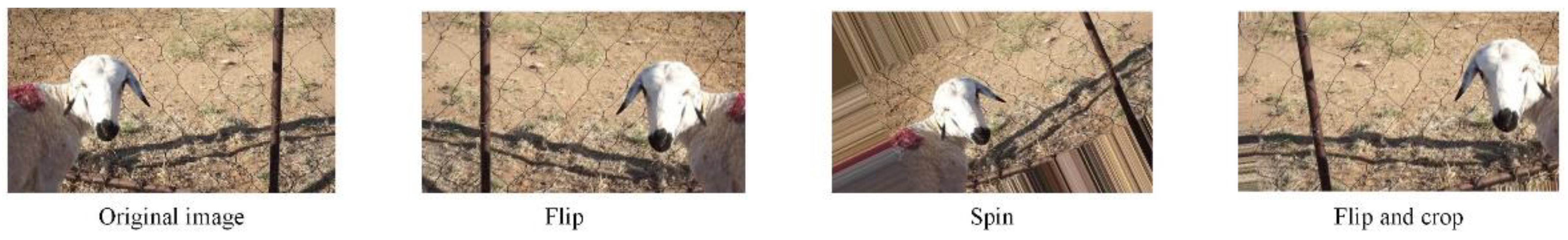 Animals 12 01465 g002