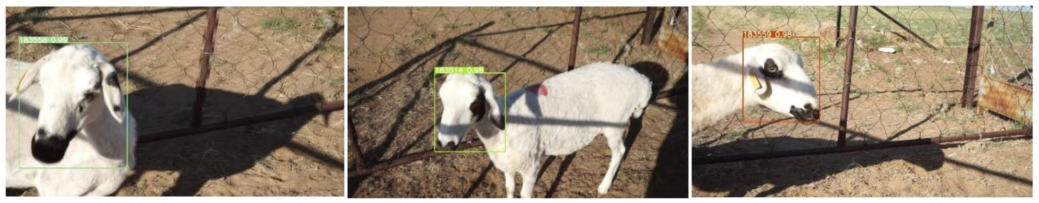 Animals 12 01465 g010