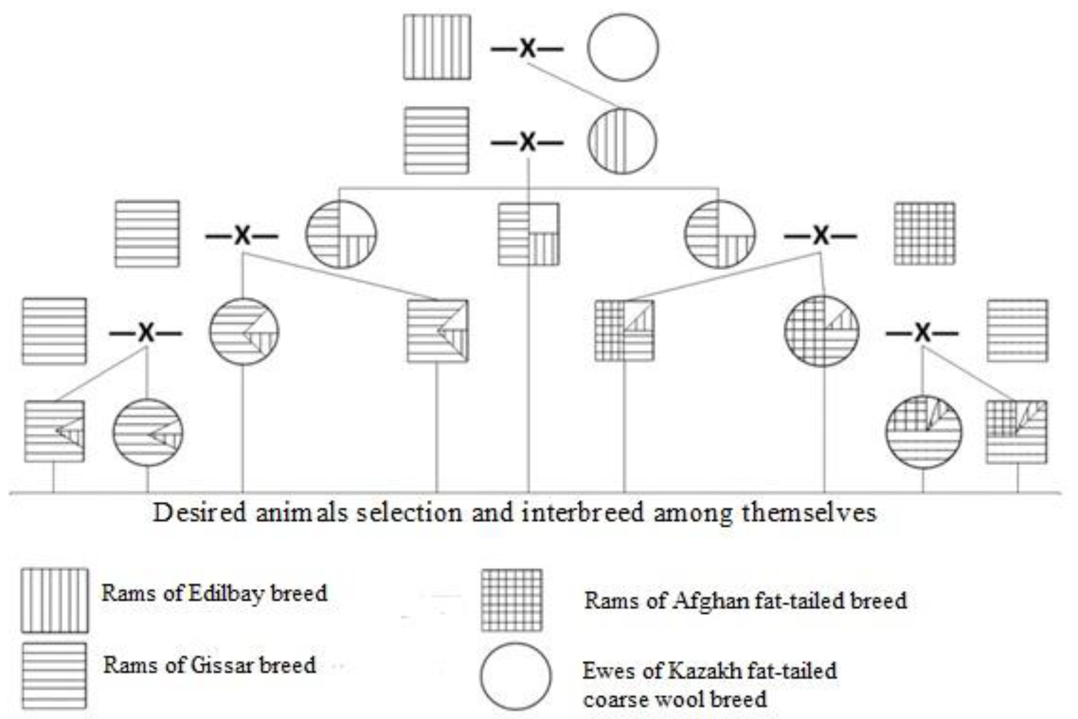 Animals 12 01468 g001