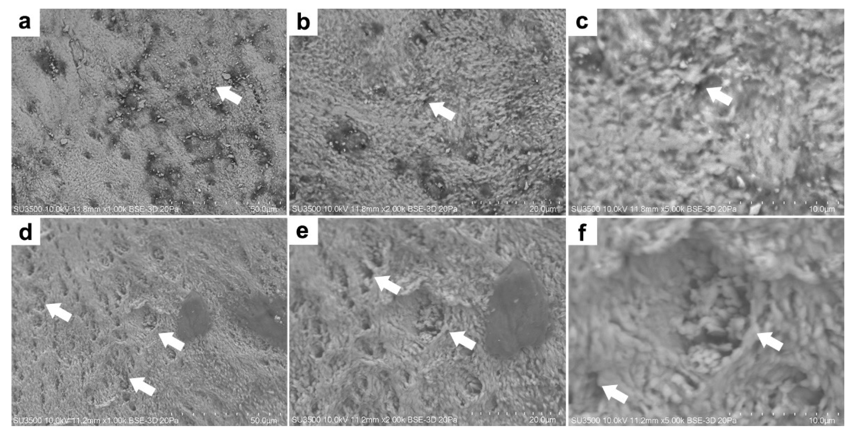 Animals 12 01476 g005 Animals 12 01476 g005