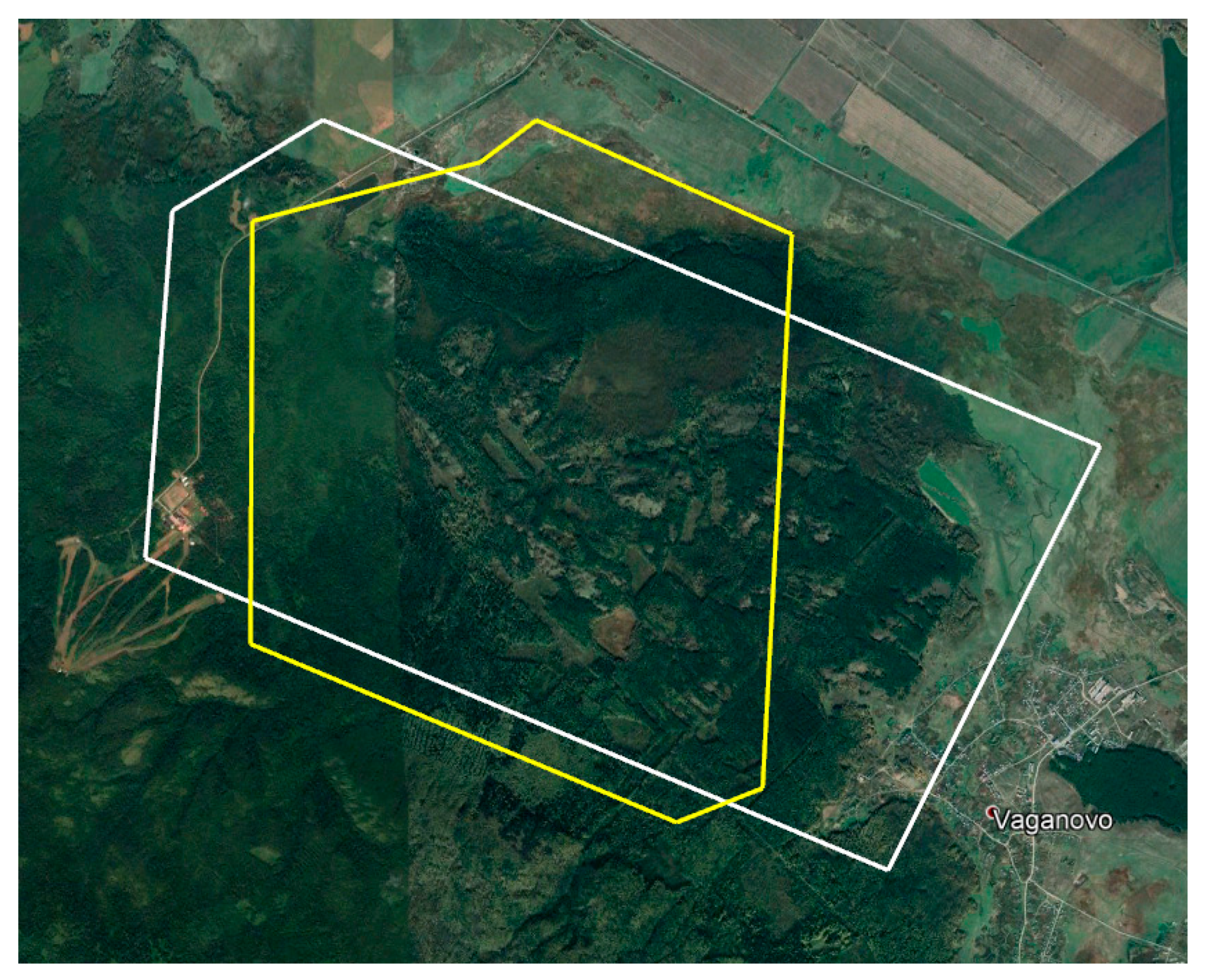 Animals 12 01483 g004