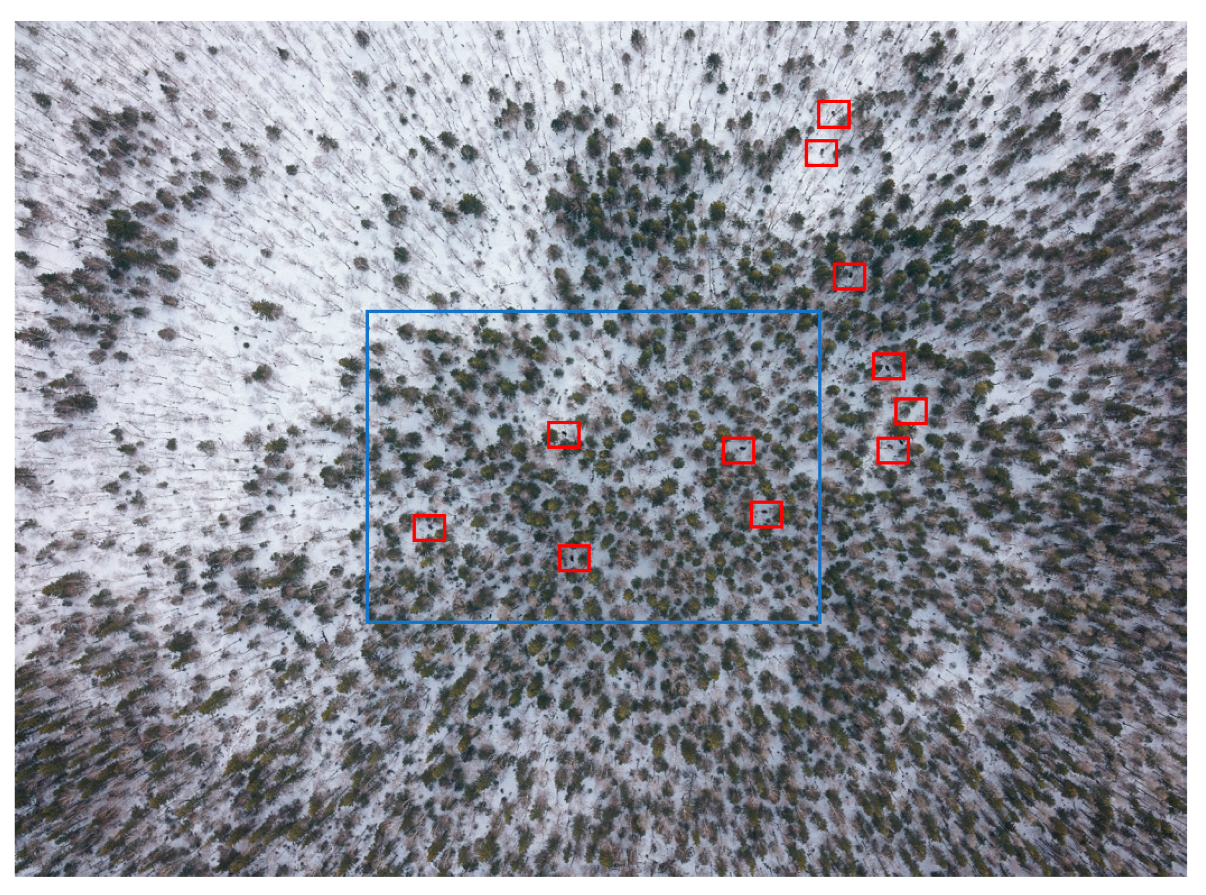 Animals 12 01483 g006