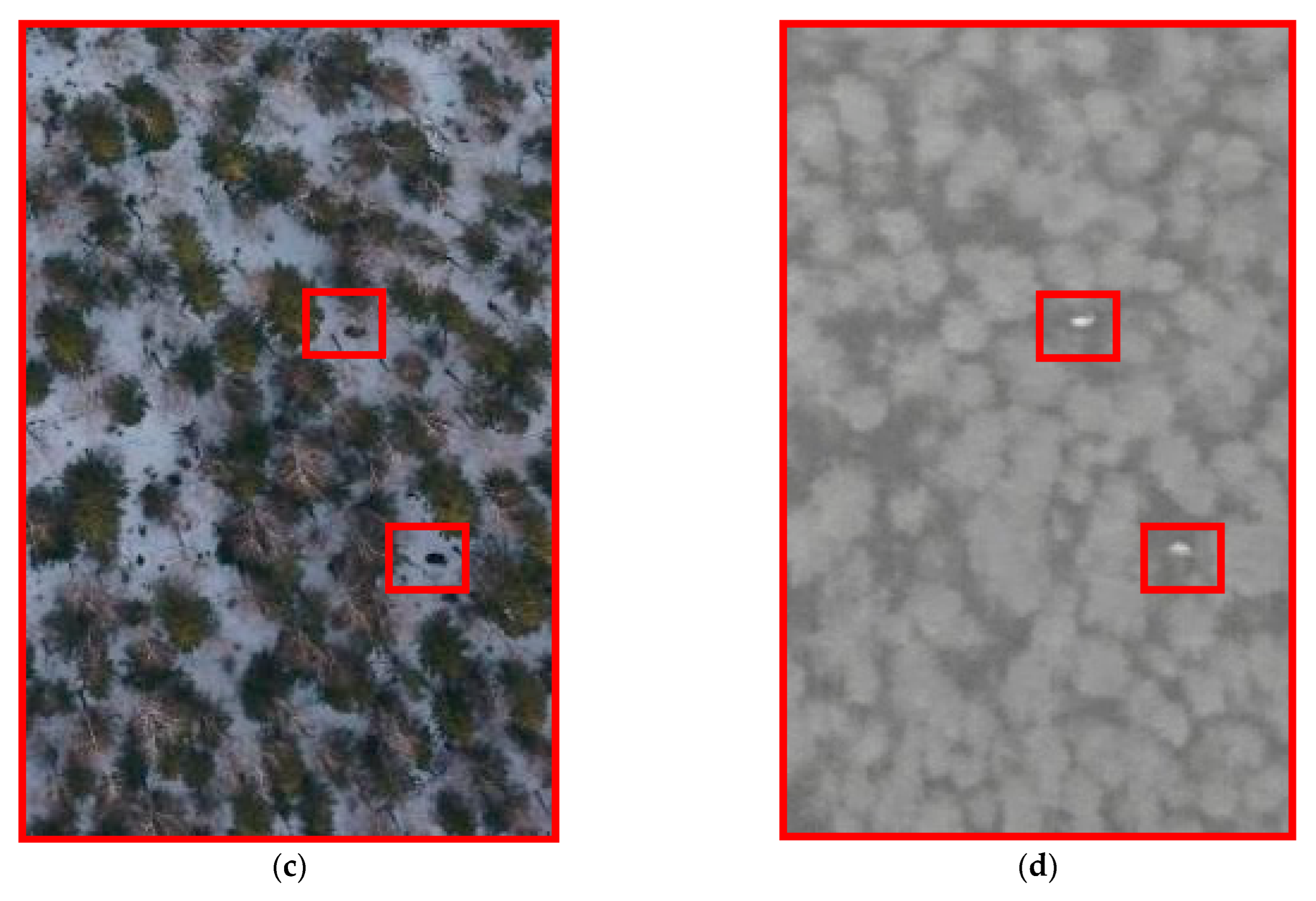 Animals 12 01483 g007b