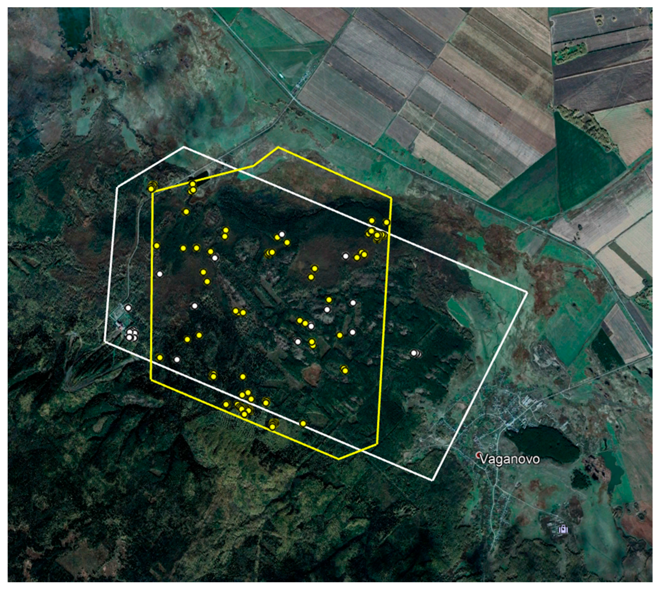 Animals 12 01483 g008