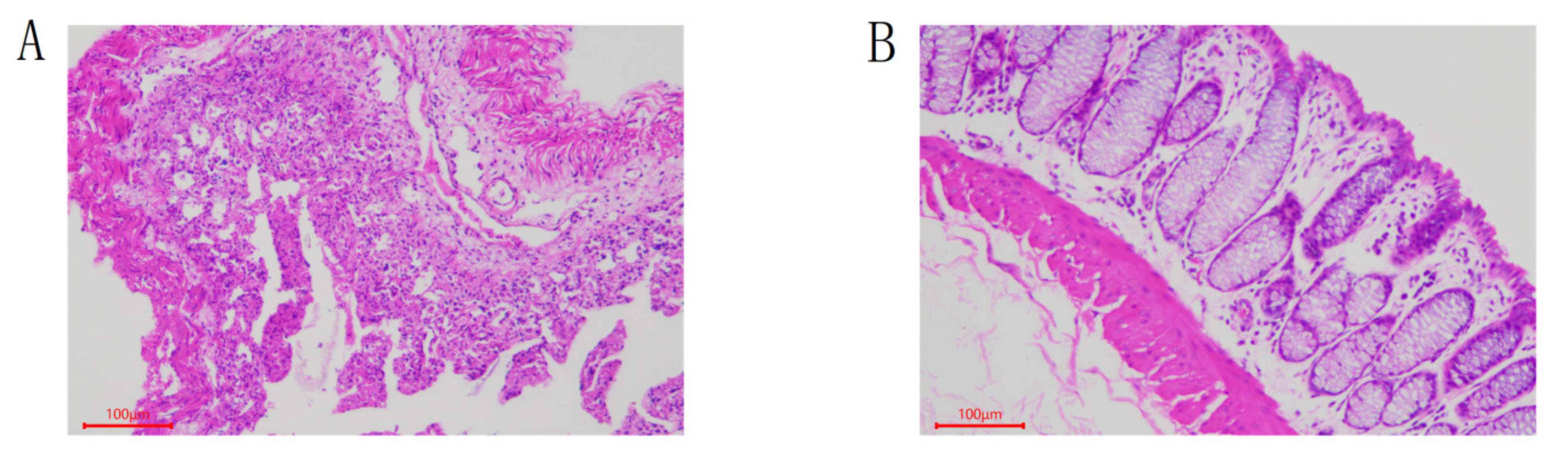 Animals 12 01497 g001