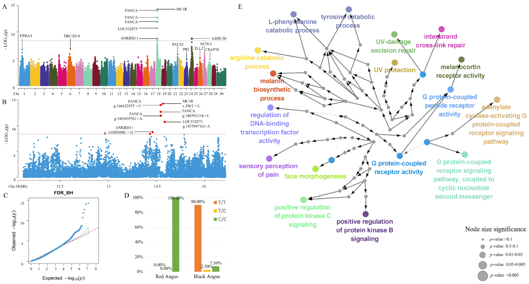 Animals 12 01509 g001 Animals 12 01509 g001