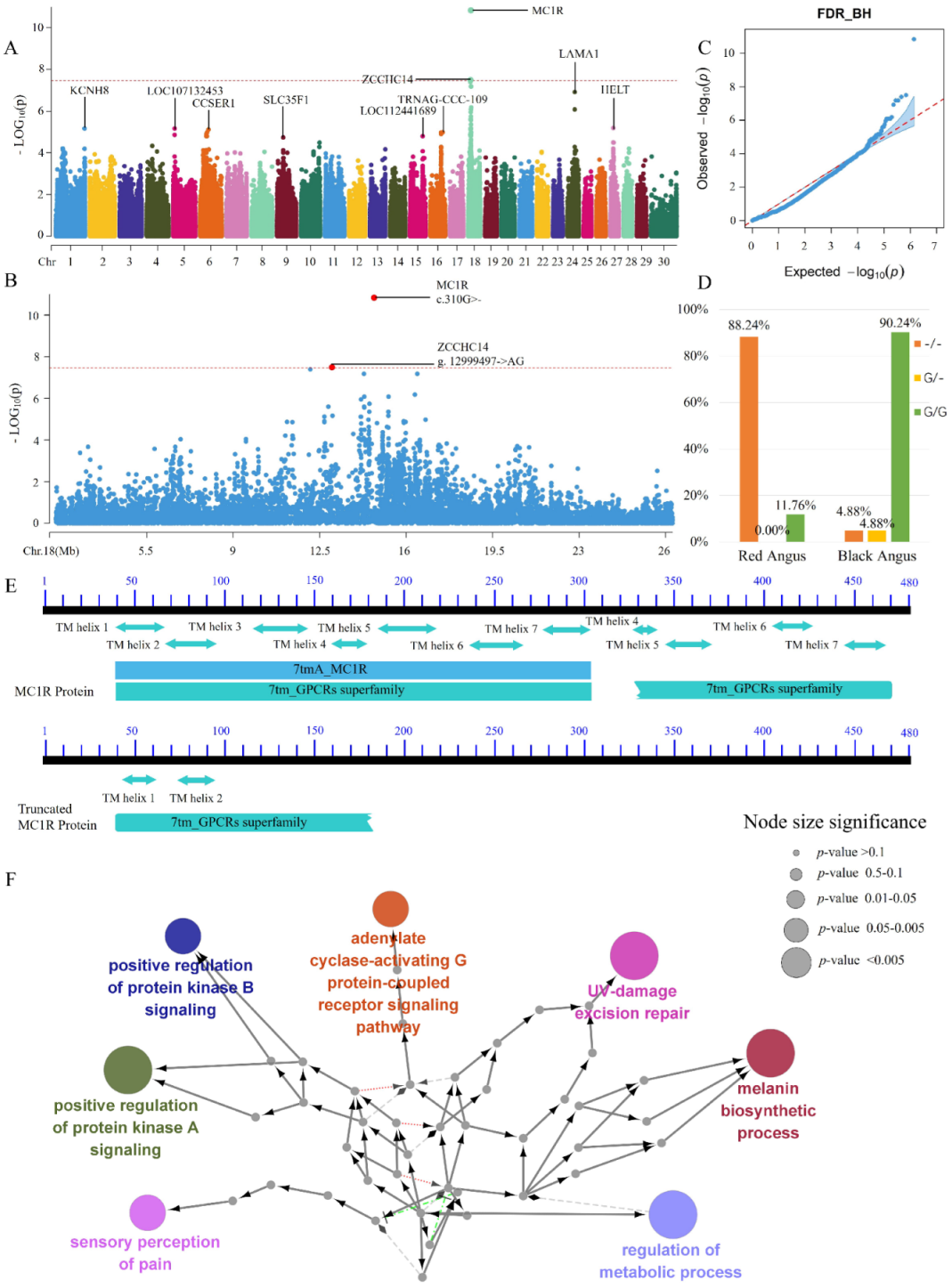 Animals 12 01509 g002 Animals 12 01509 g002