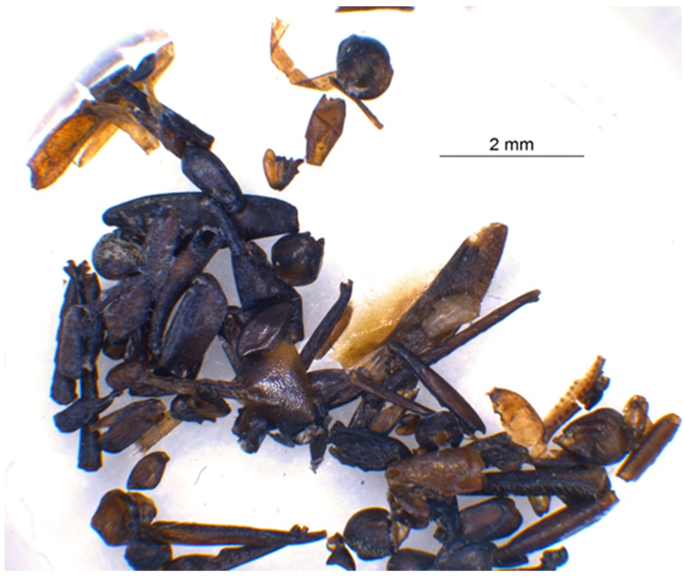 Animals 12 01511 g002