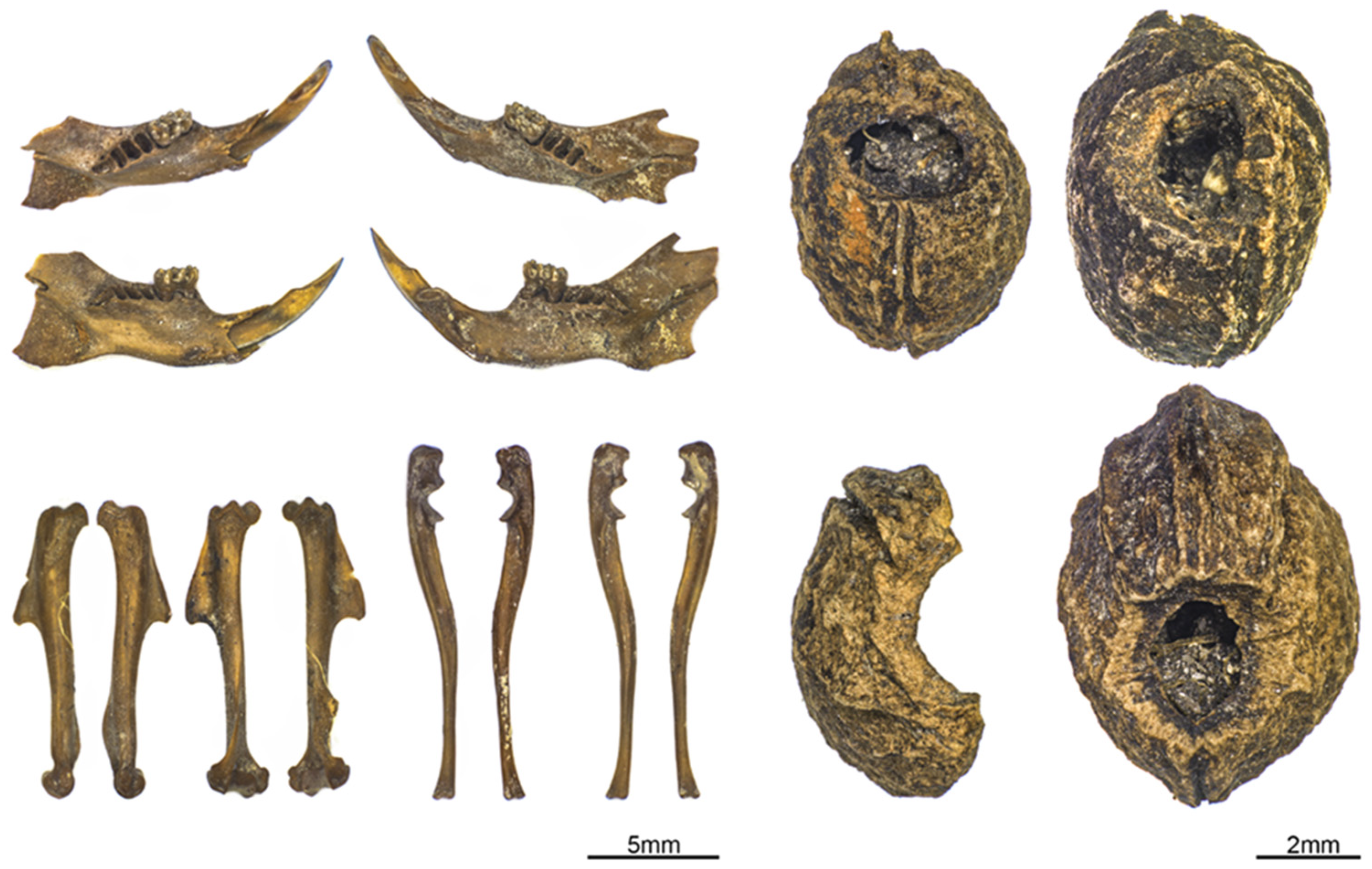 Animals 12 01511 g004