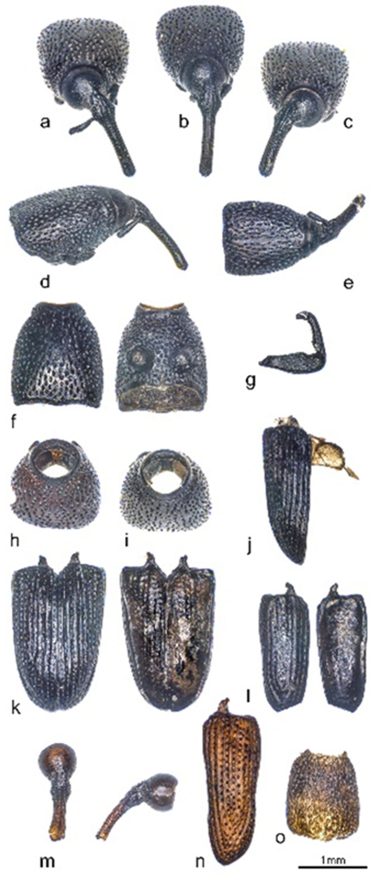 Animals 12 01511 g007