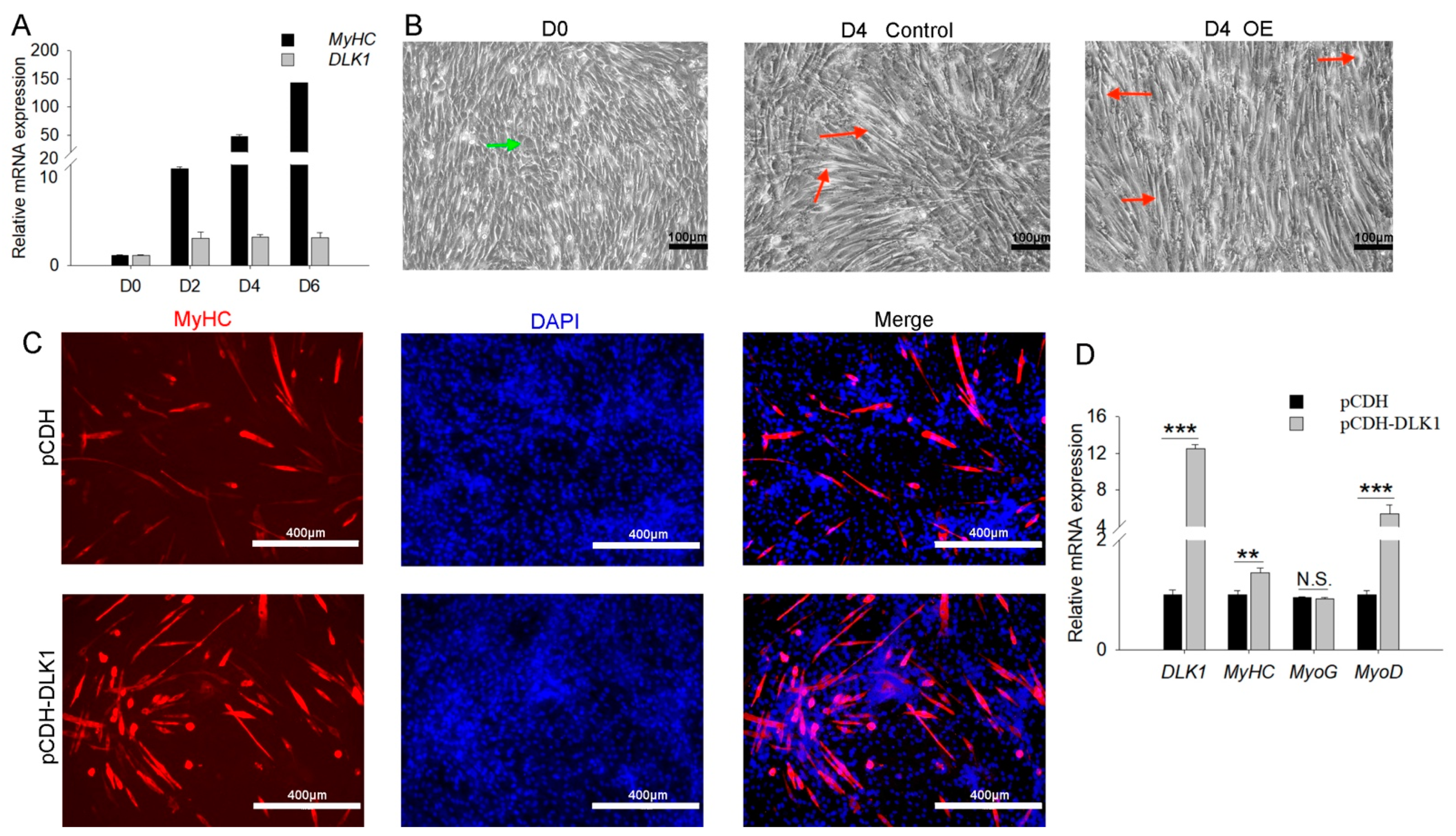 Animals 12 01523 g004 Animals 12 01523 g004