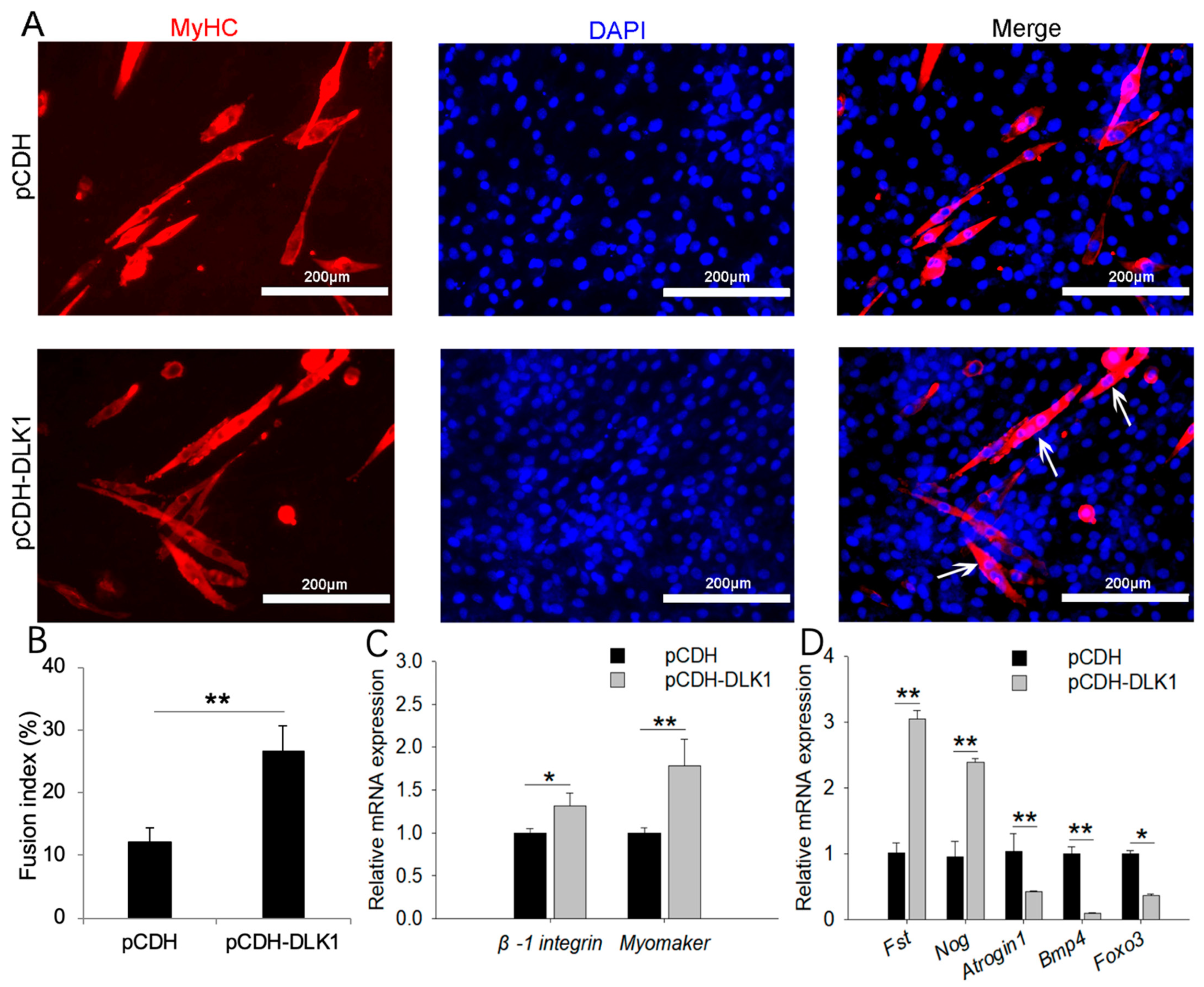 Animals 12 01523 g005 Animals 12 01523 g005