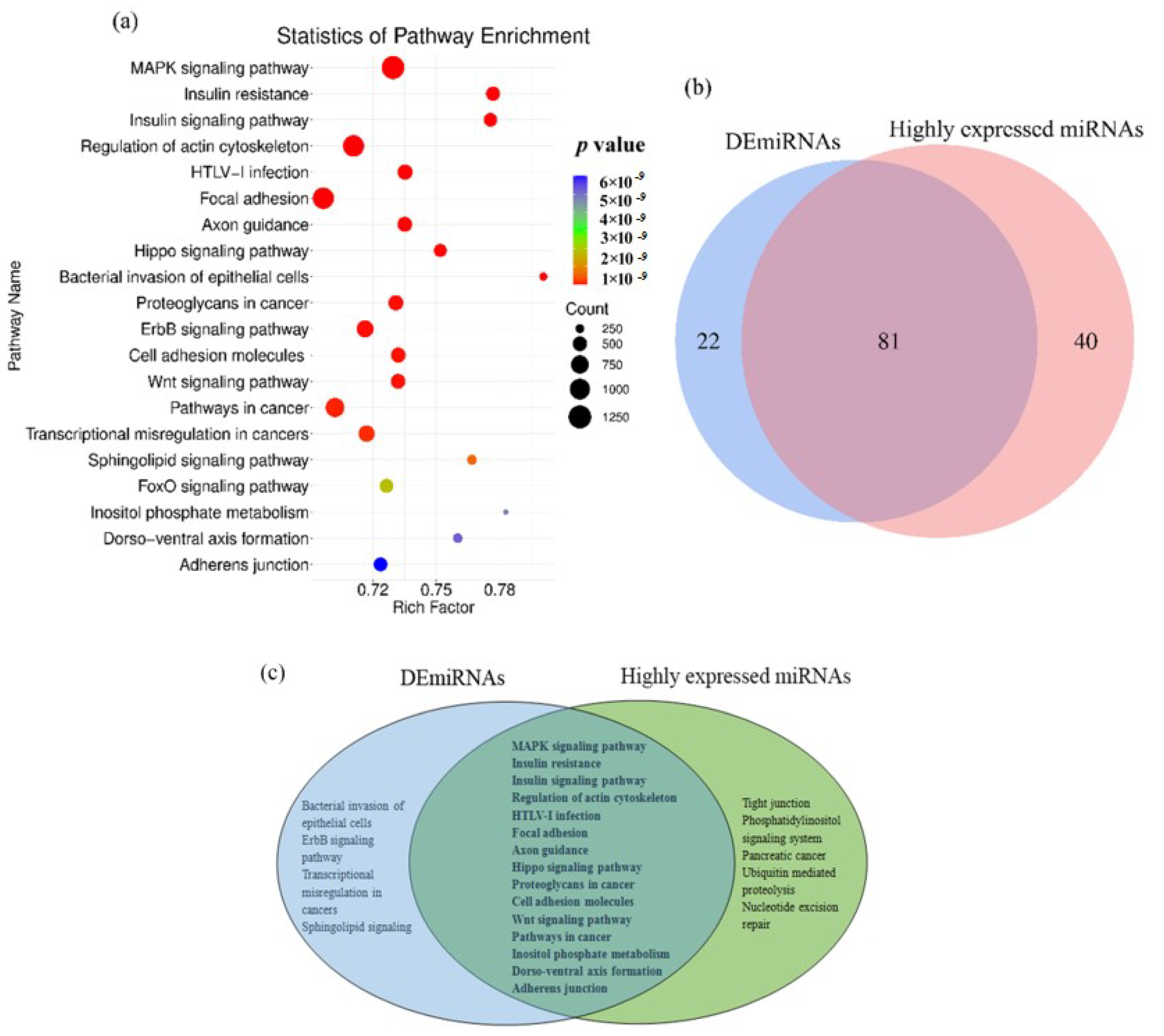 Animals 12 01533 g002