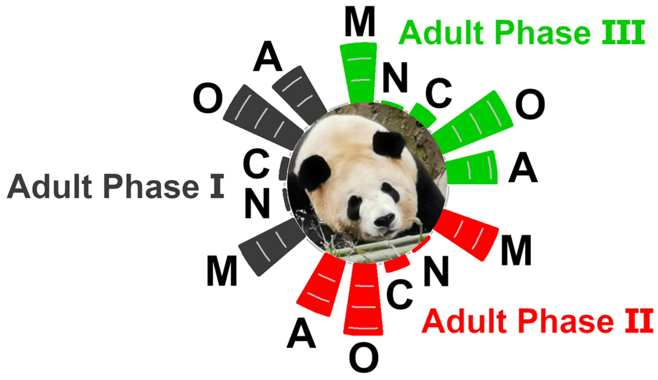 Animals 12 01536 g002