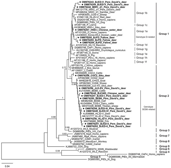 Molecular Epidemiology and Genetic Diversity of Molecular Epidemiology and Genetic Diversity of