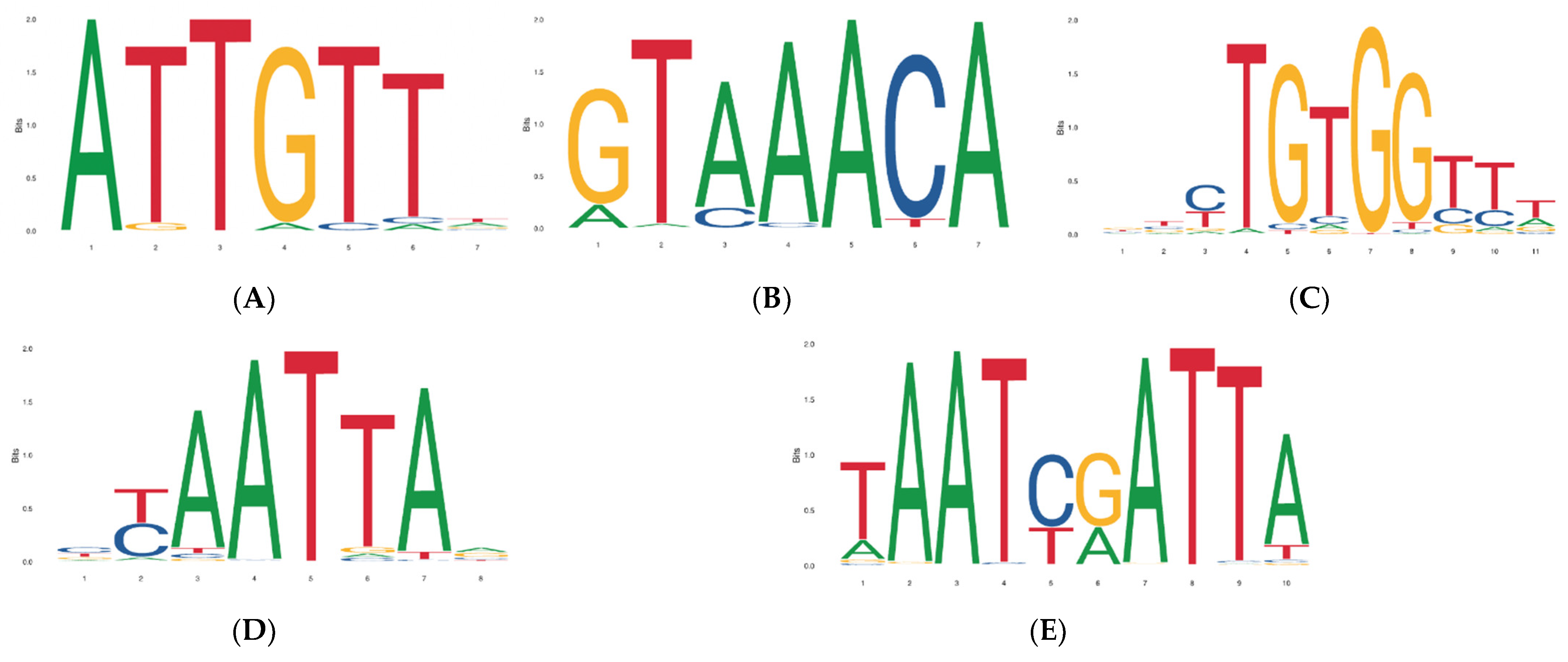 Animals 12 01547 g008 550