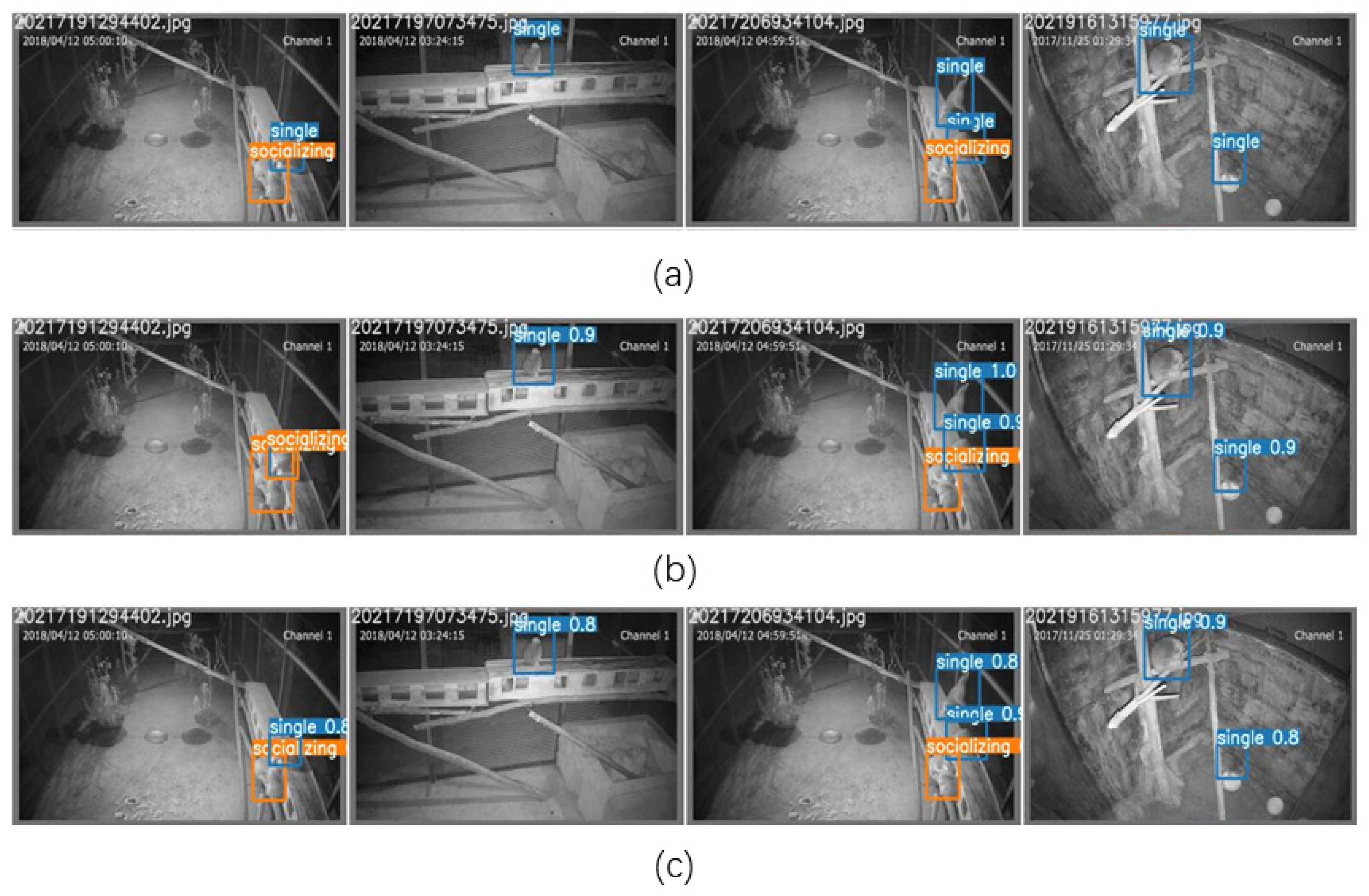 Animals 12 01553 g007 550