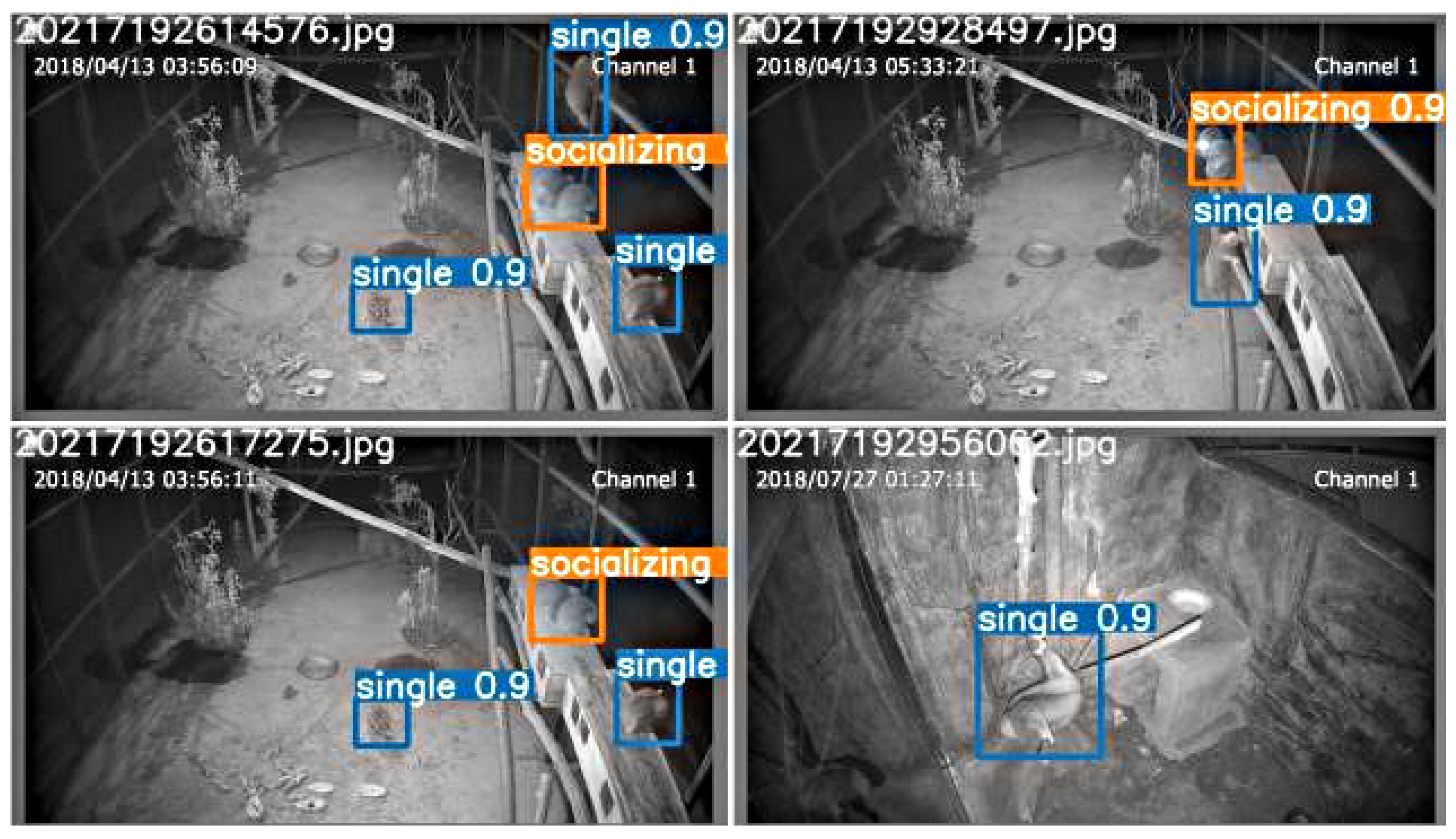 Animals 12 01553 g008 550