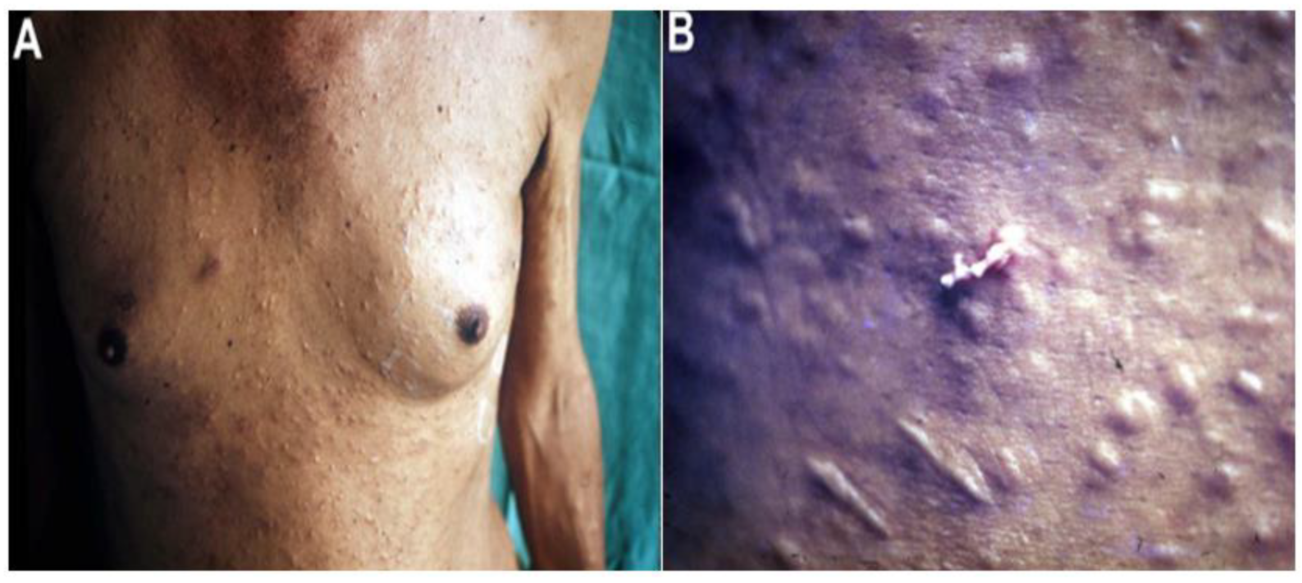 Animals 12 01578 g002