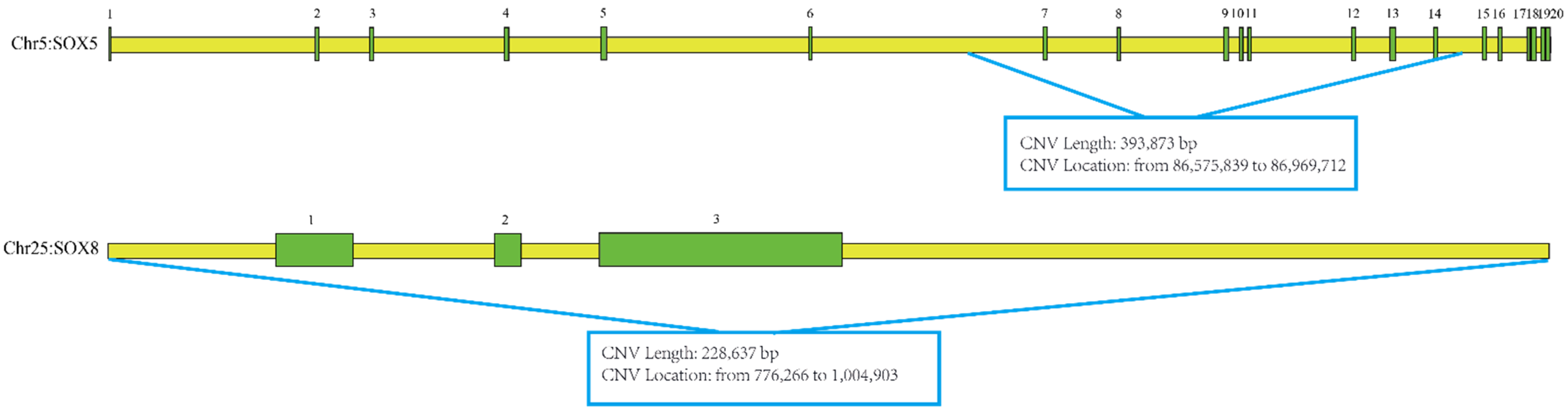 Animals 12 01587 g001