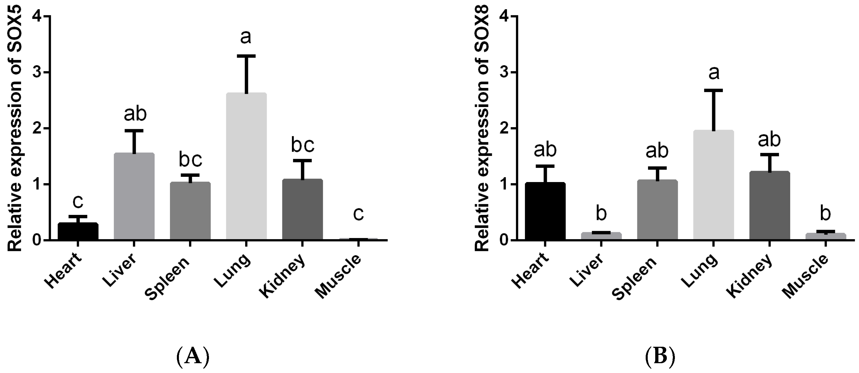 Animals 12 01587 g002