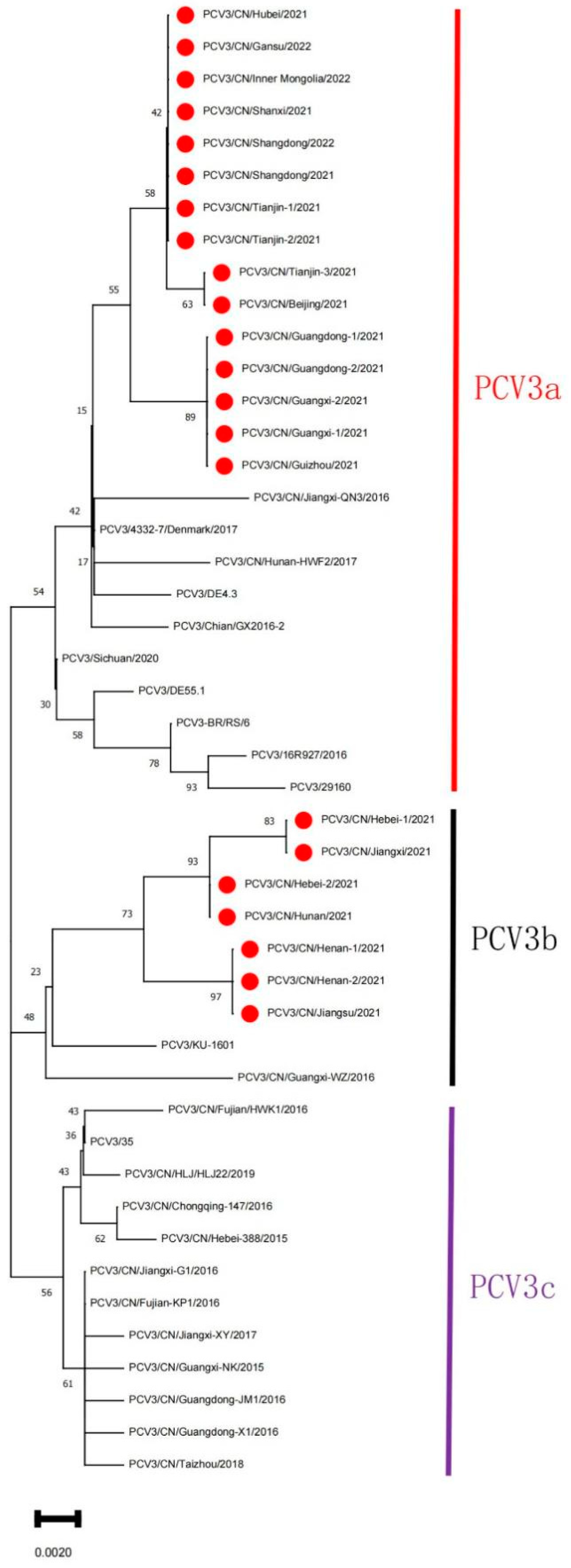 Animals 12 01588 g002