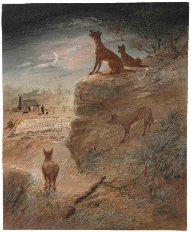 Animals 12 01592 g0a2 Animals 12 01592 g0a2