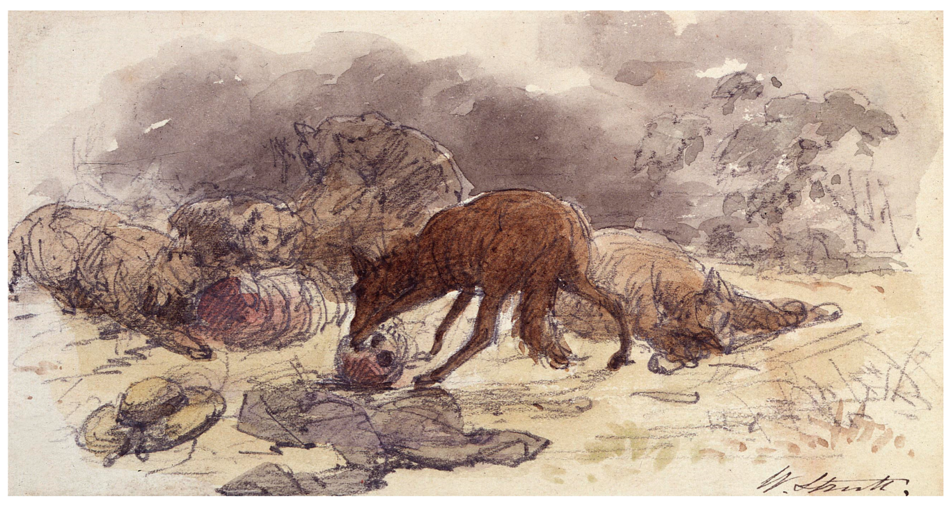 Animals 12 01592 g0a4 Animals 12 01592 g0a4