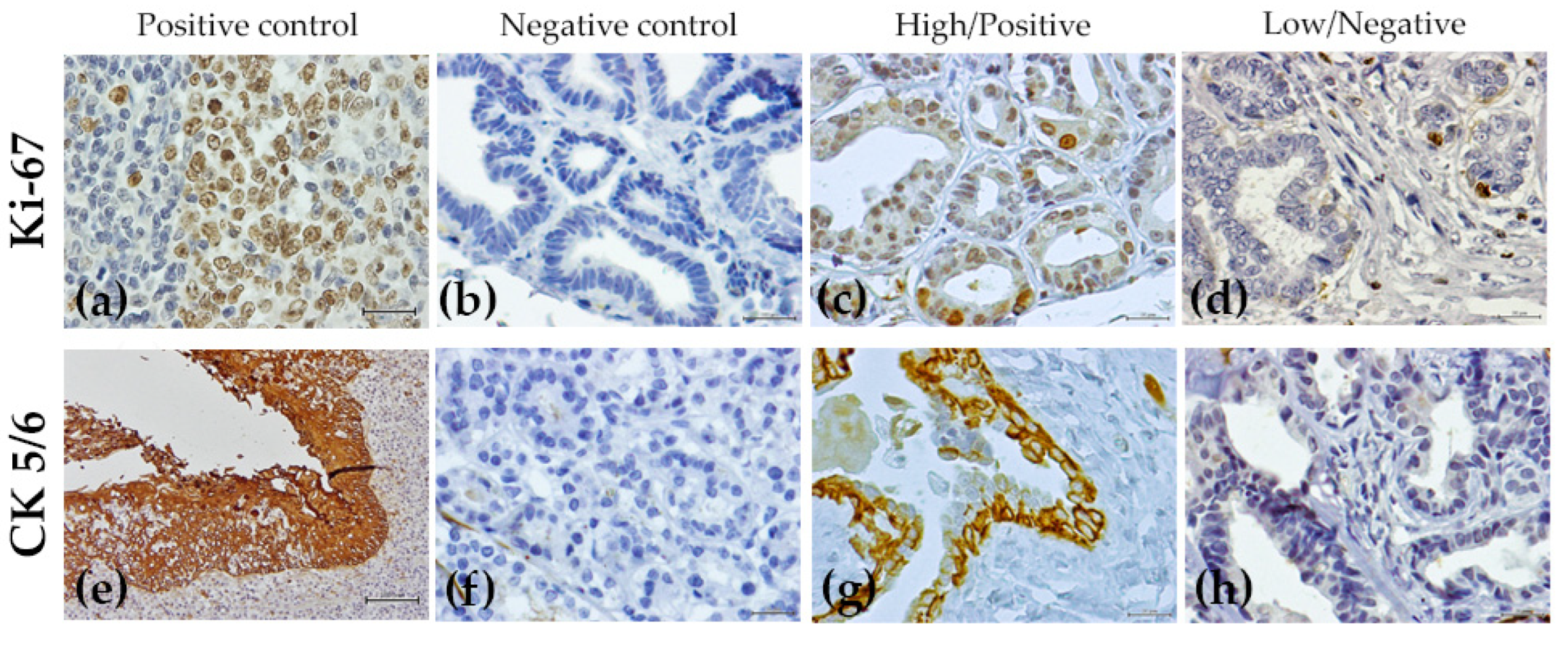 Animals 12 01599 g002 Animals 12 01599 g002