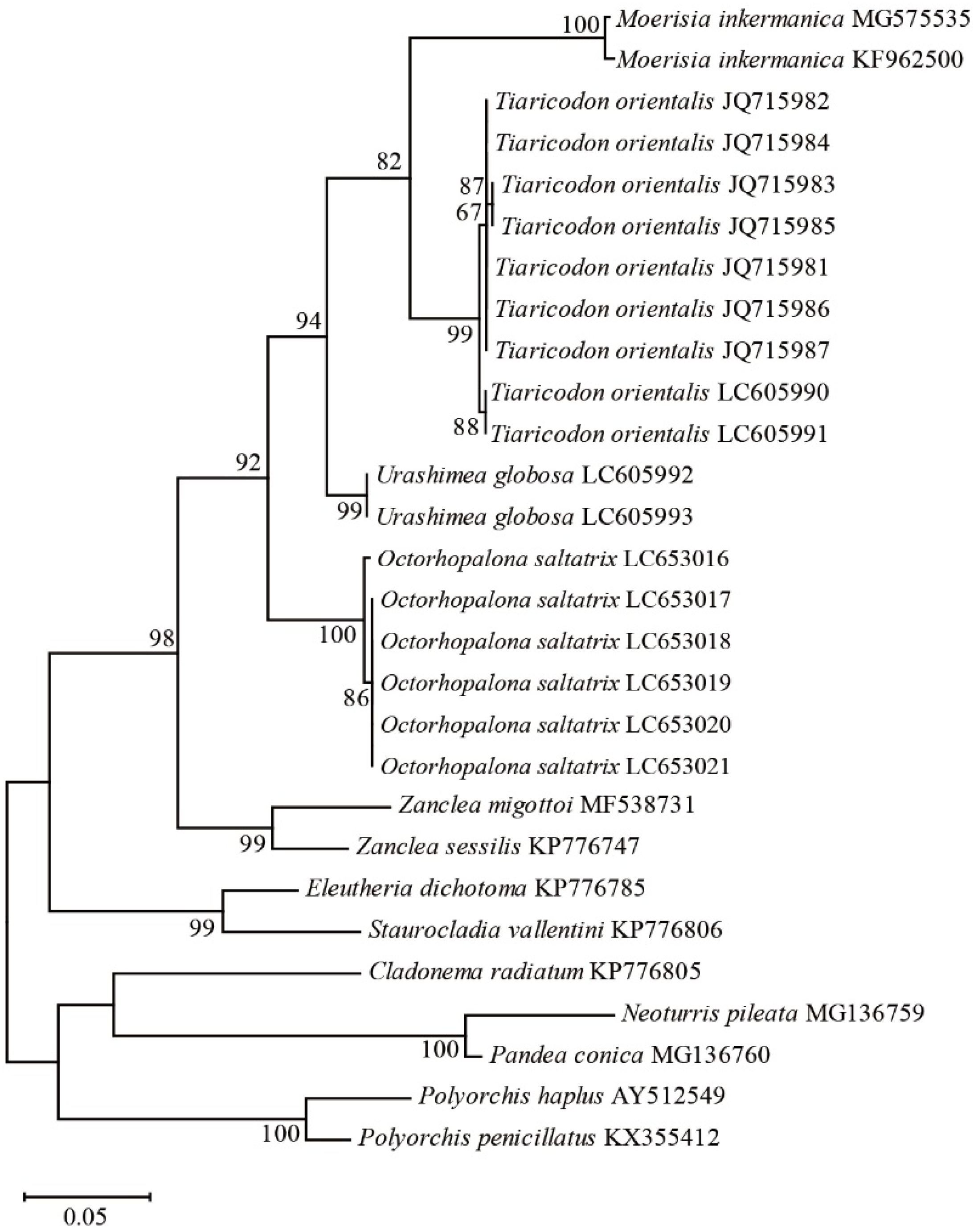 Animals 12 01600 g003