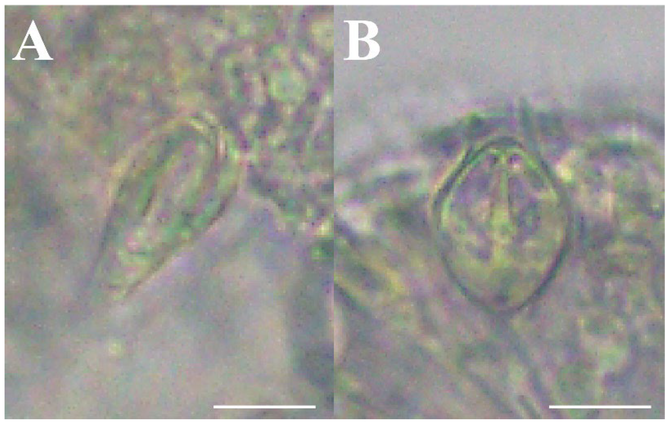 Animals 12 01600 g008