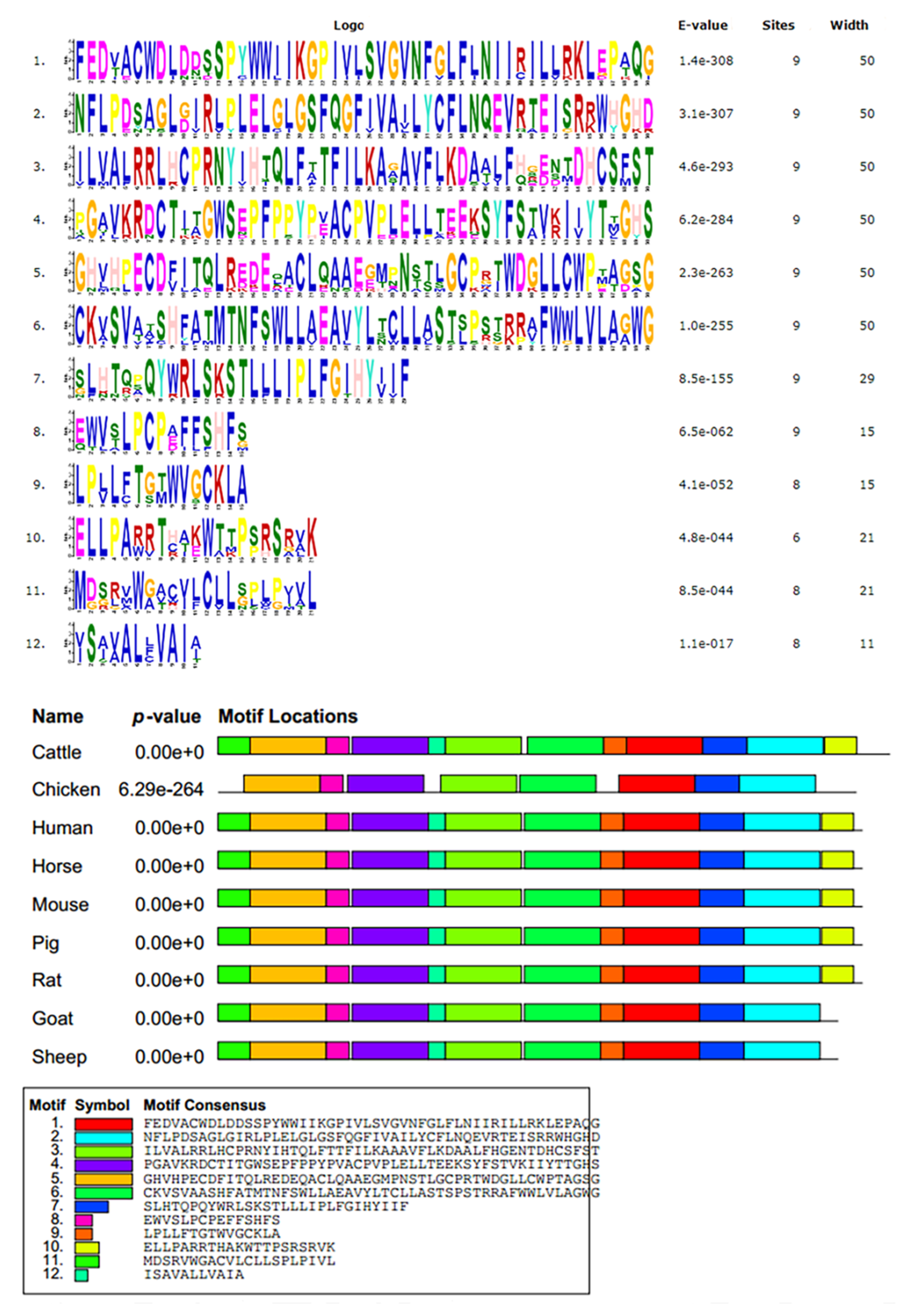 Animals 12 01601 g003 Animals 12 01601 g003