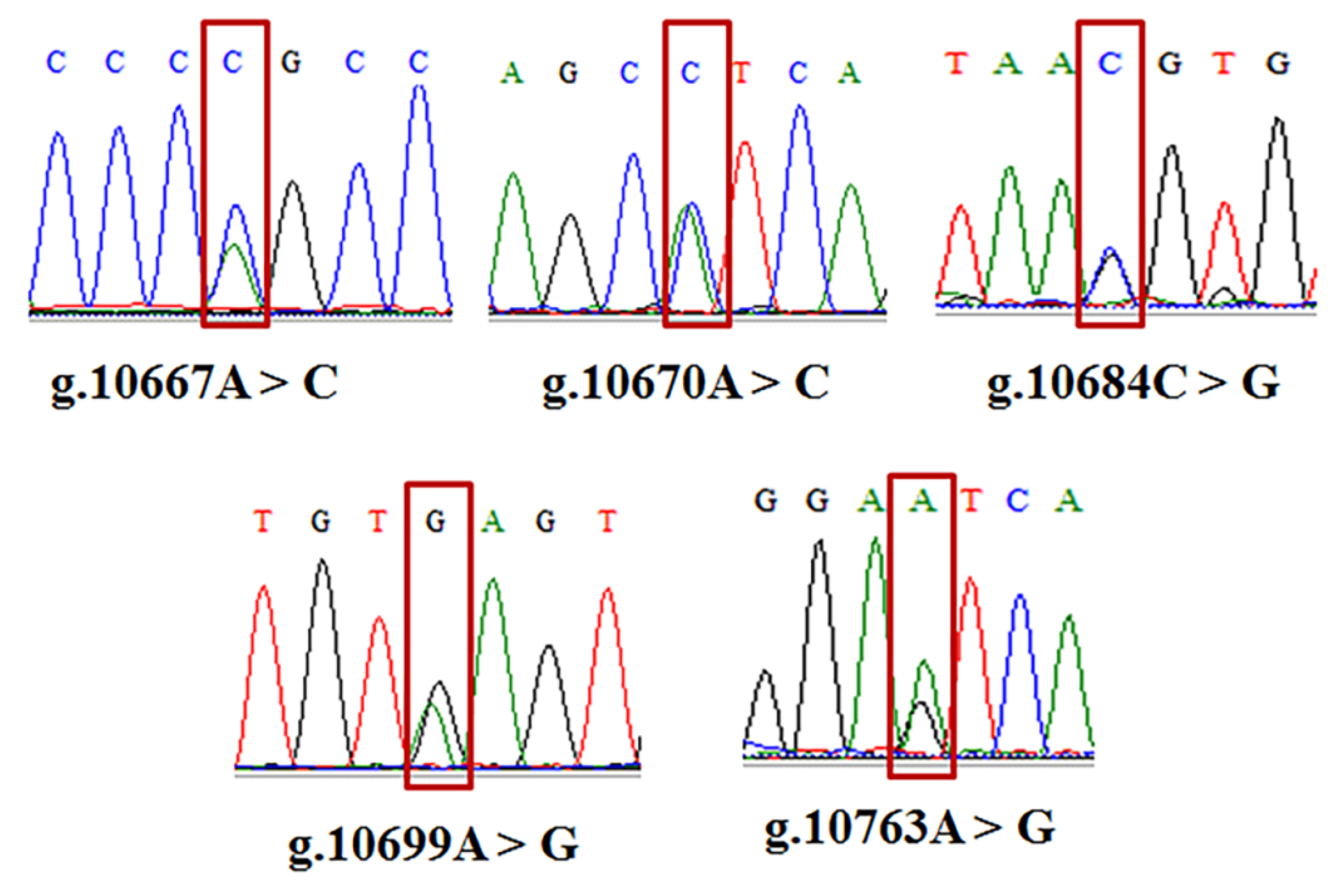 Animals 12 01601 g005 Animals 12 01601 g005