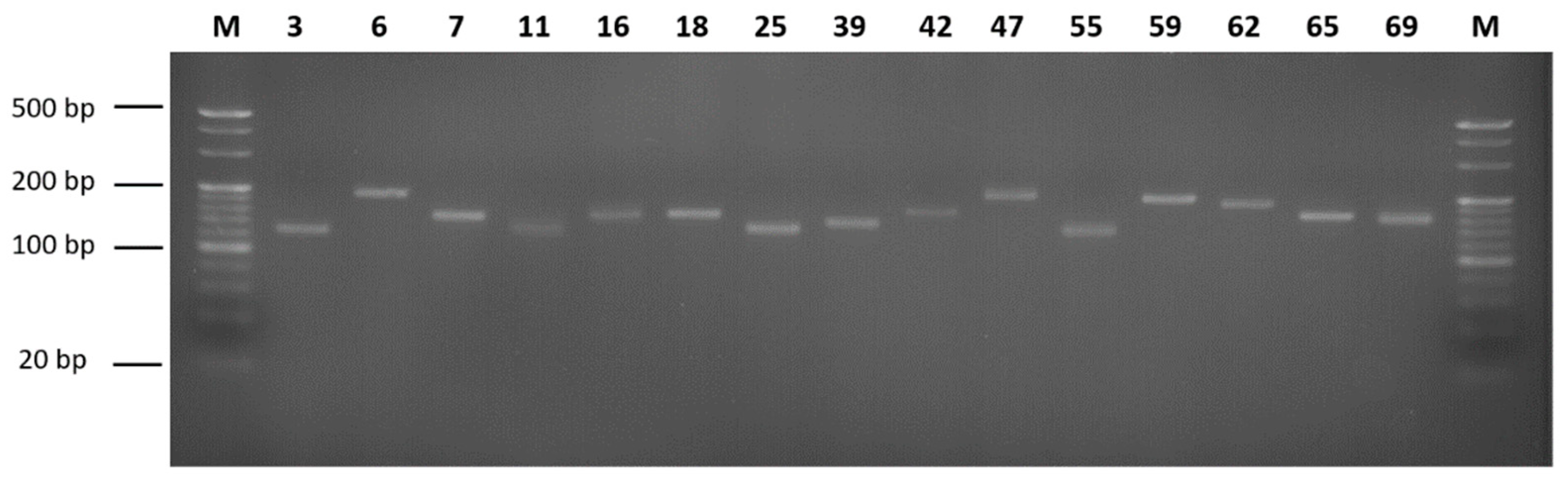 Animals 12 01608 g002 Animals 12 01608 g002