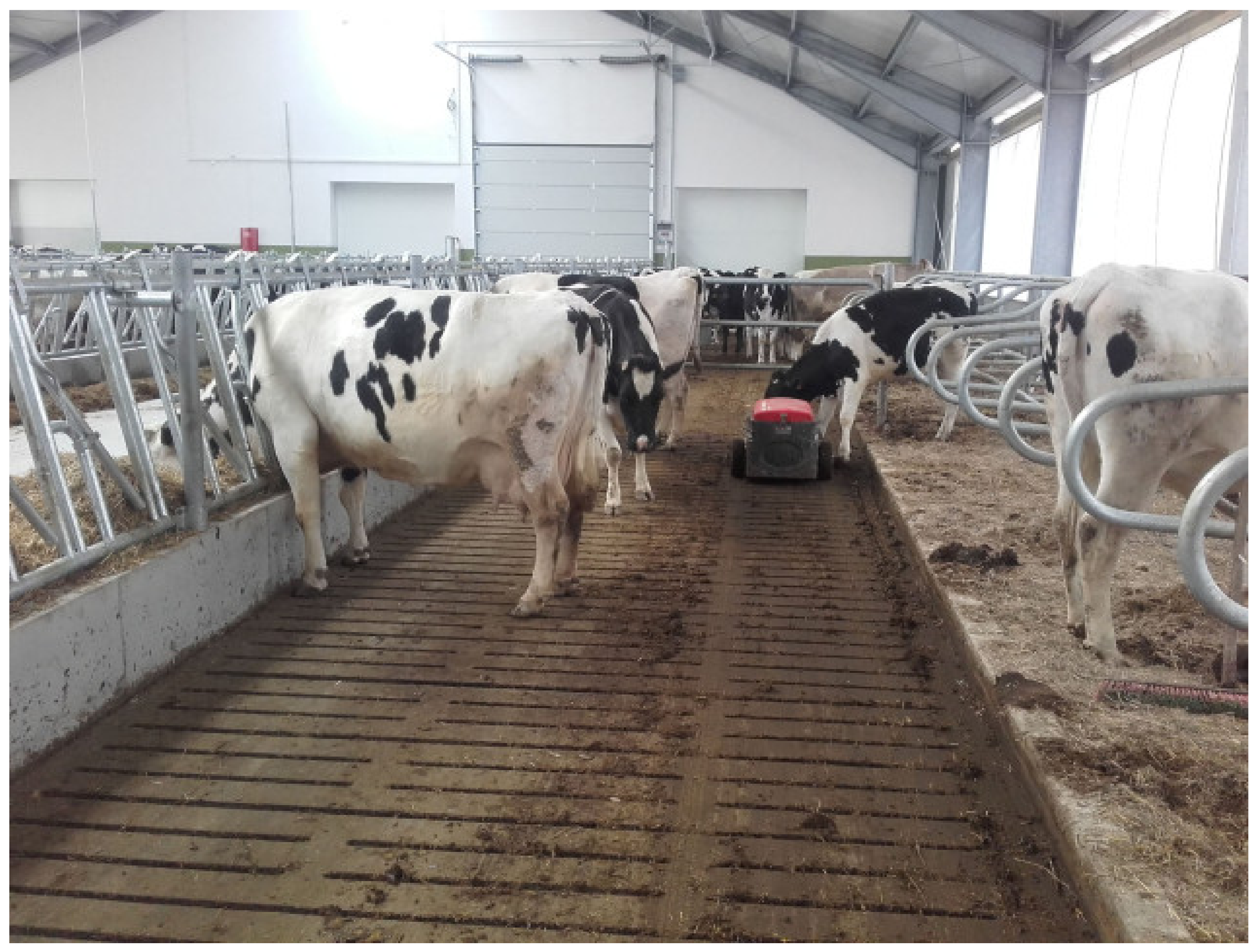 Animals | Free Full-Text | The Effect of Housing System on Disease  Prevalence and Productive Lifespan of Dairy Herds—A Case Study