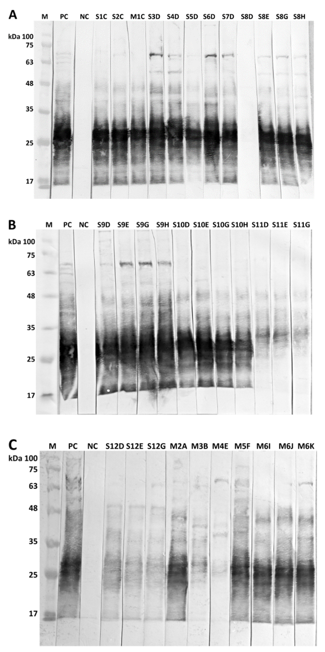 Animals 12 01612 g002