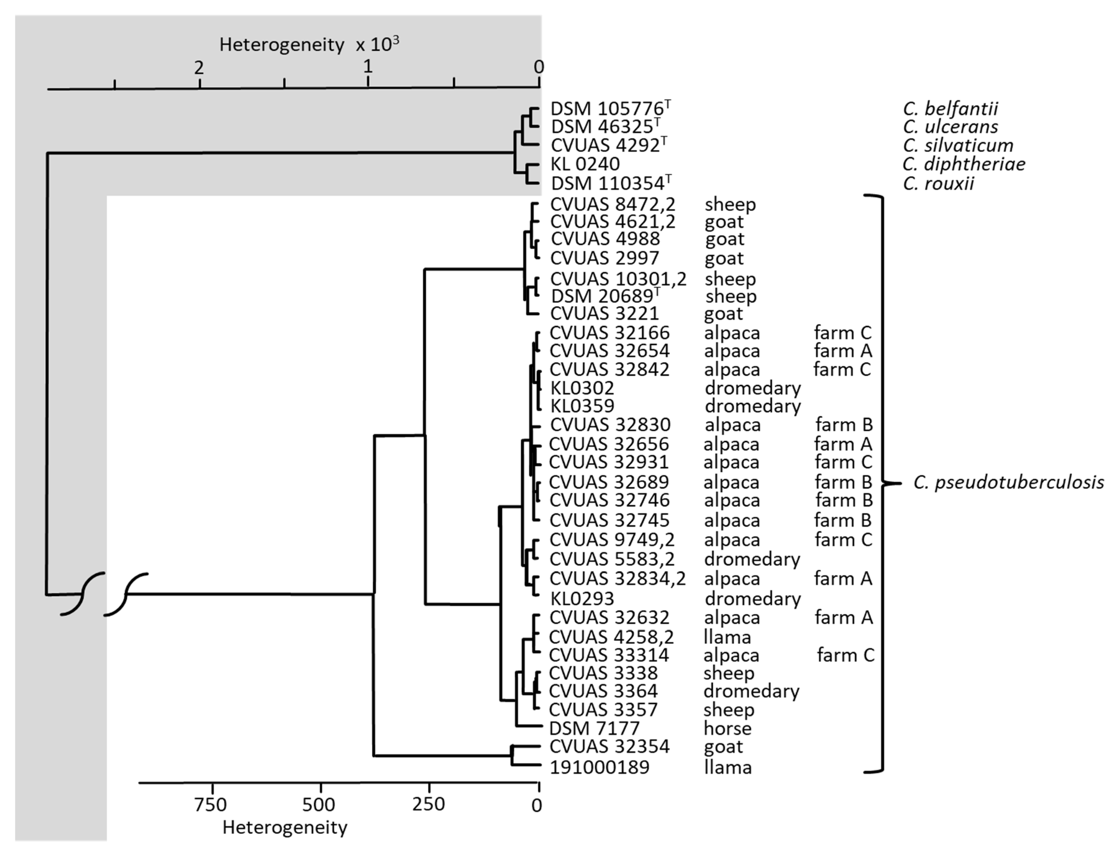 Animals 12 01612 g004