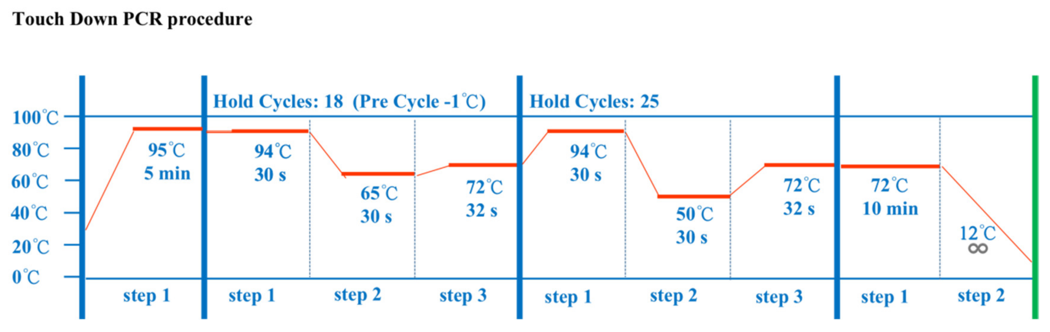 Animals 12 01616 g002