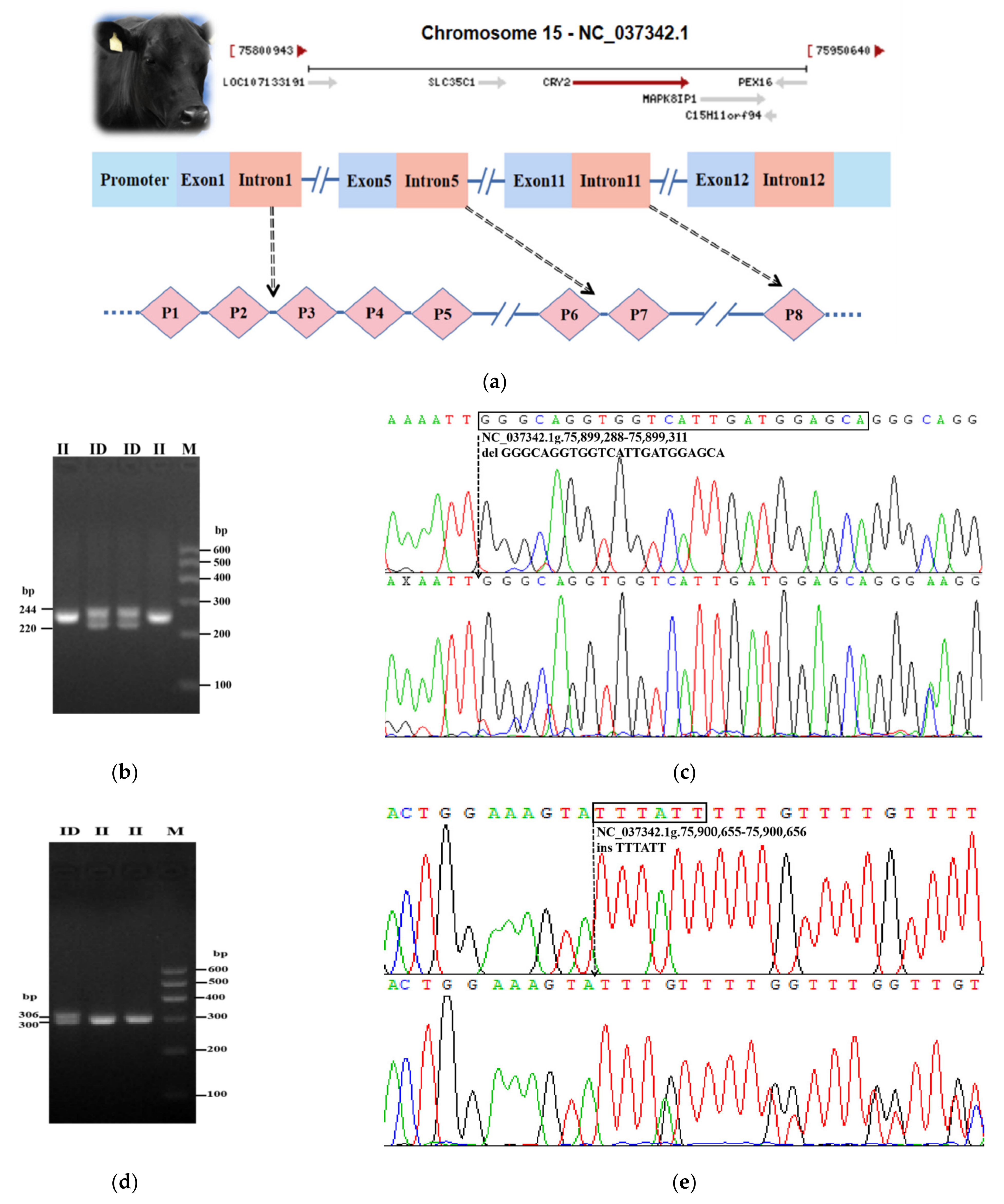 Animals 12 01616 g003