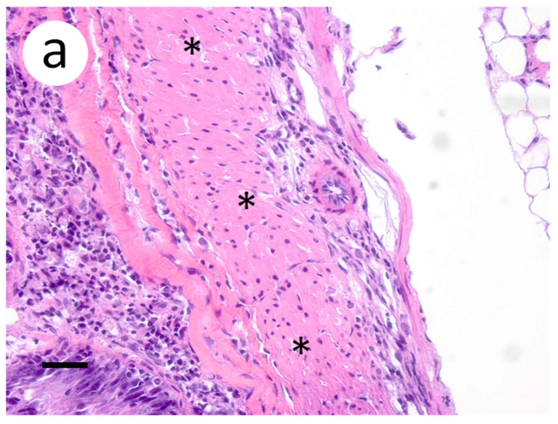 Animals 12 01624 g009a