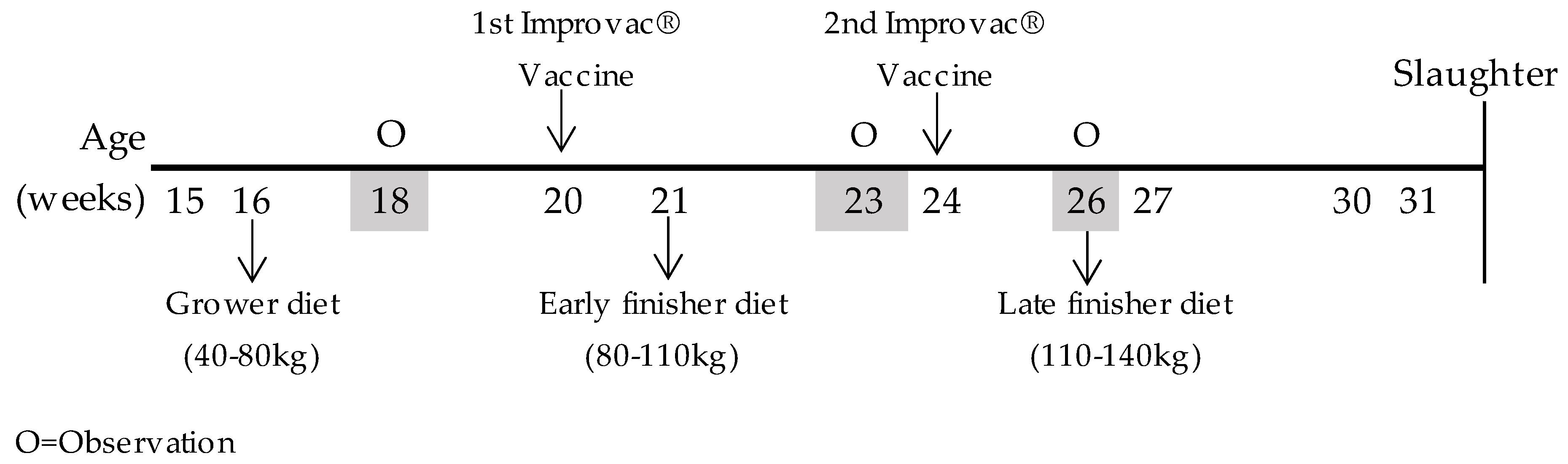 Animals 12 01629 g001