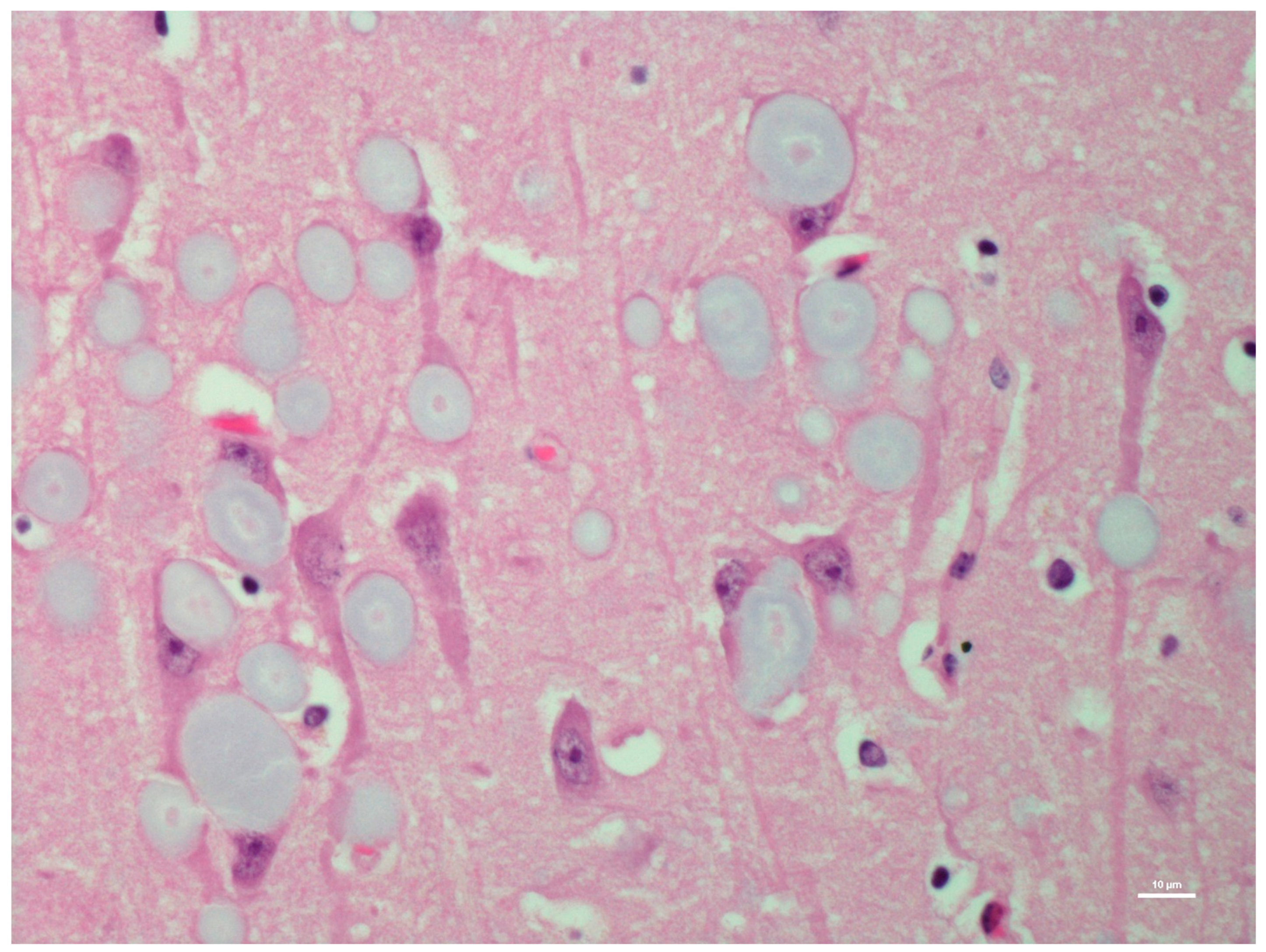 Animals 12 01633 g001 Animals 12 01633 g001