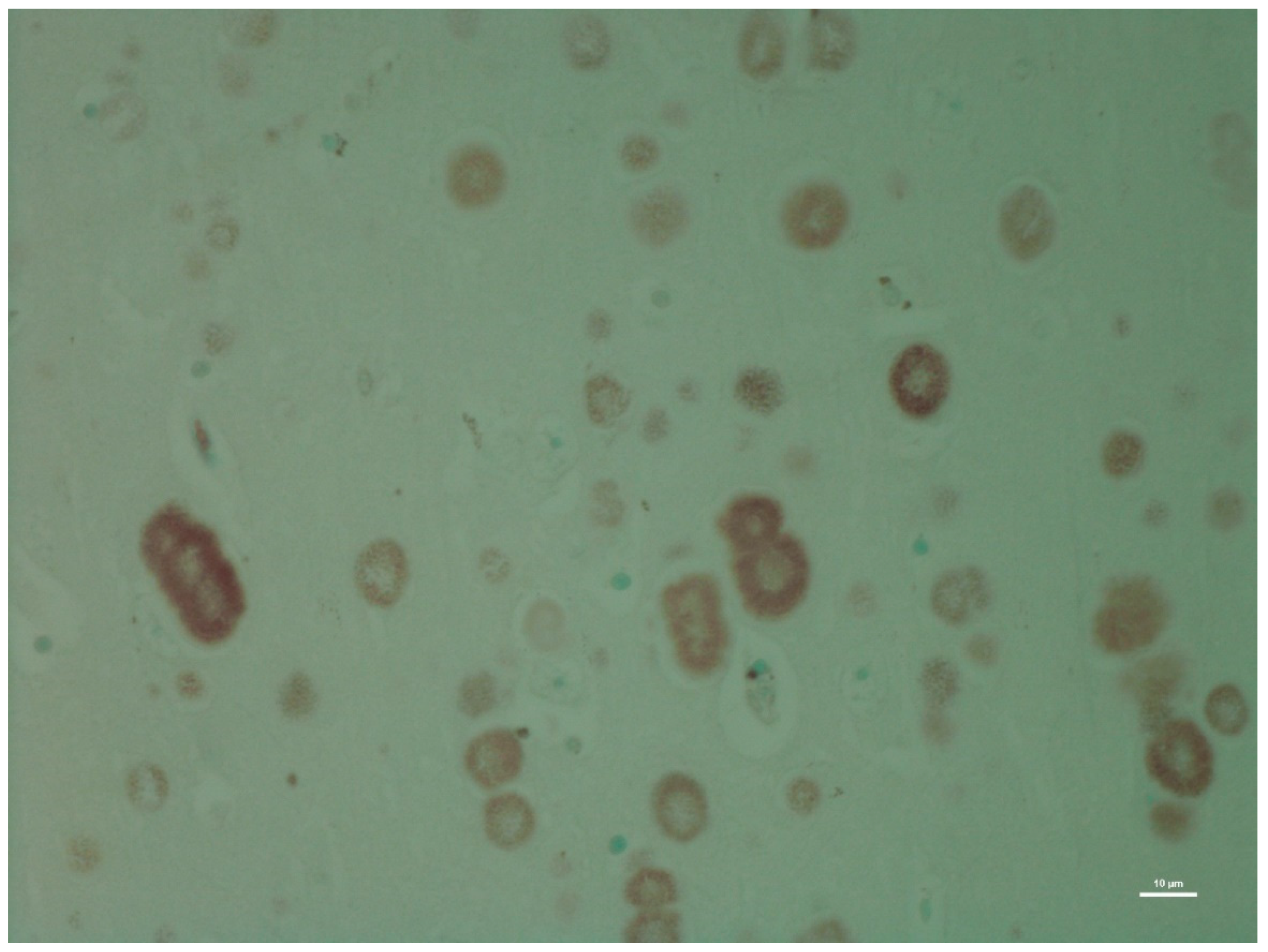 Animals 12 01633 g003 Animals 12 01633 g003