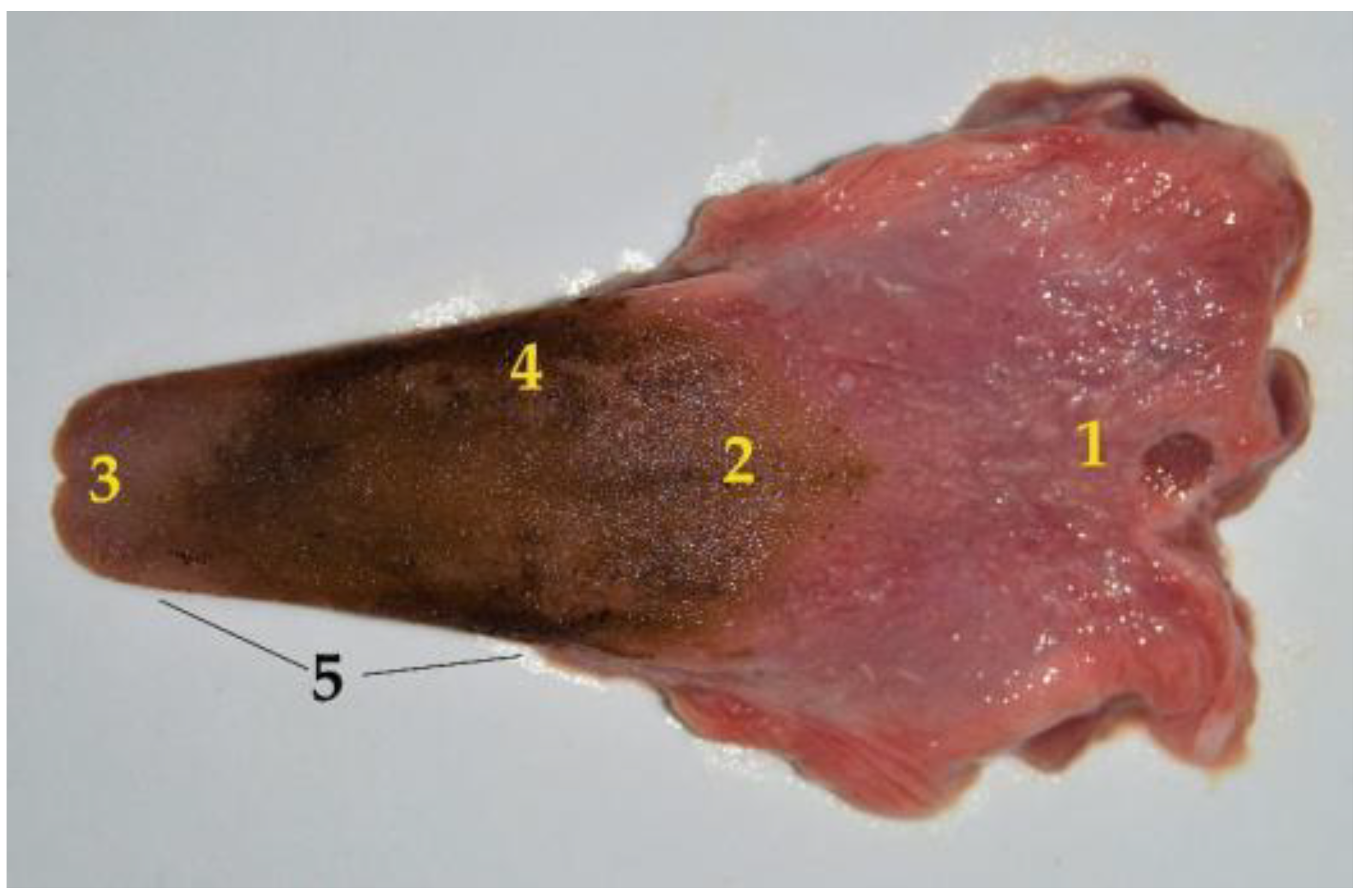 Animals 12 01634 g002 Animals 12 01634 g002